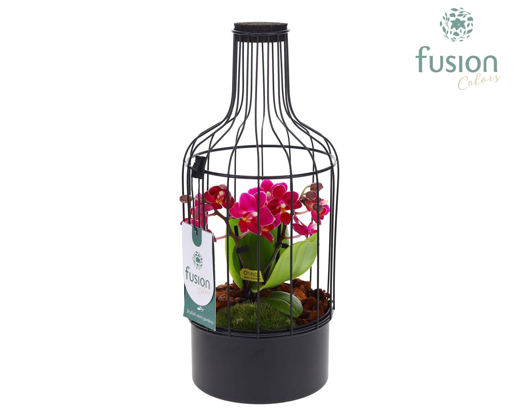 Metaal fles zwart Small met Phalaenopsis, D 13