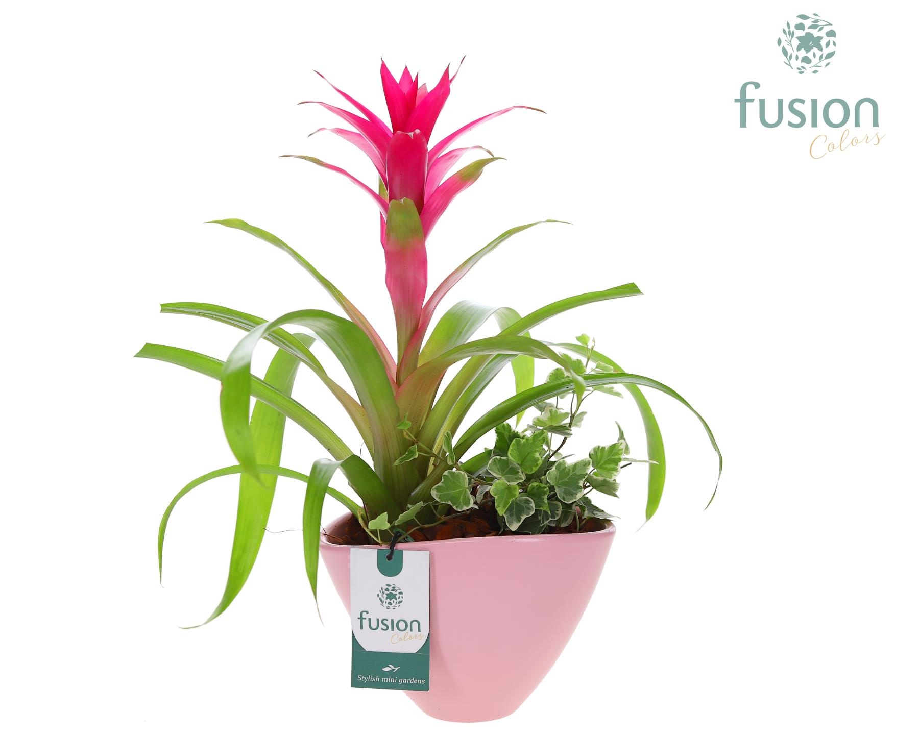 Pot keramiek ovaal Medium met Arrangement, D 18