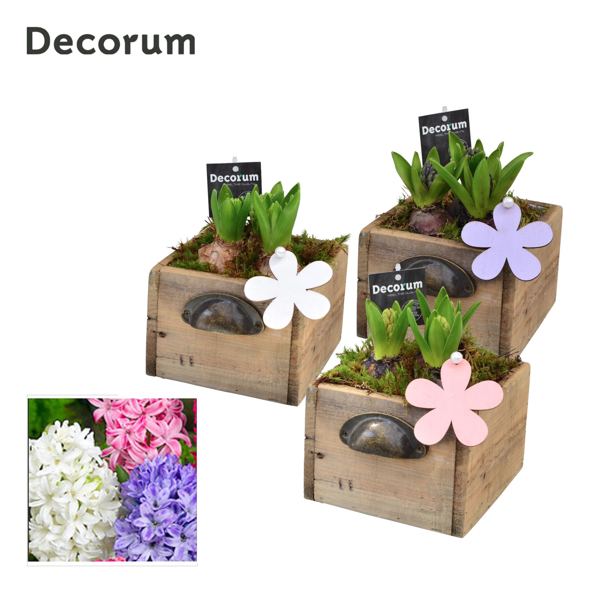 Hyacint Wooden Drawer HL10753 [PURE], D 14