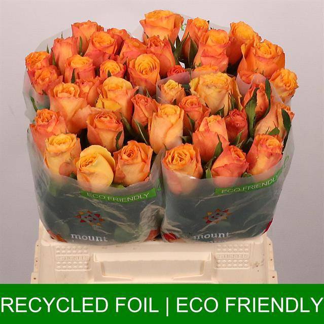 Роза од. Конфиденшиал 40, шт.