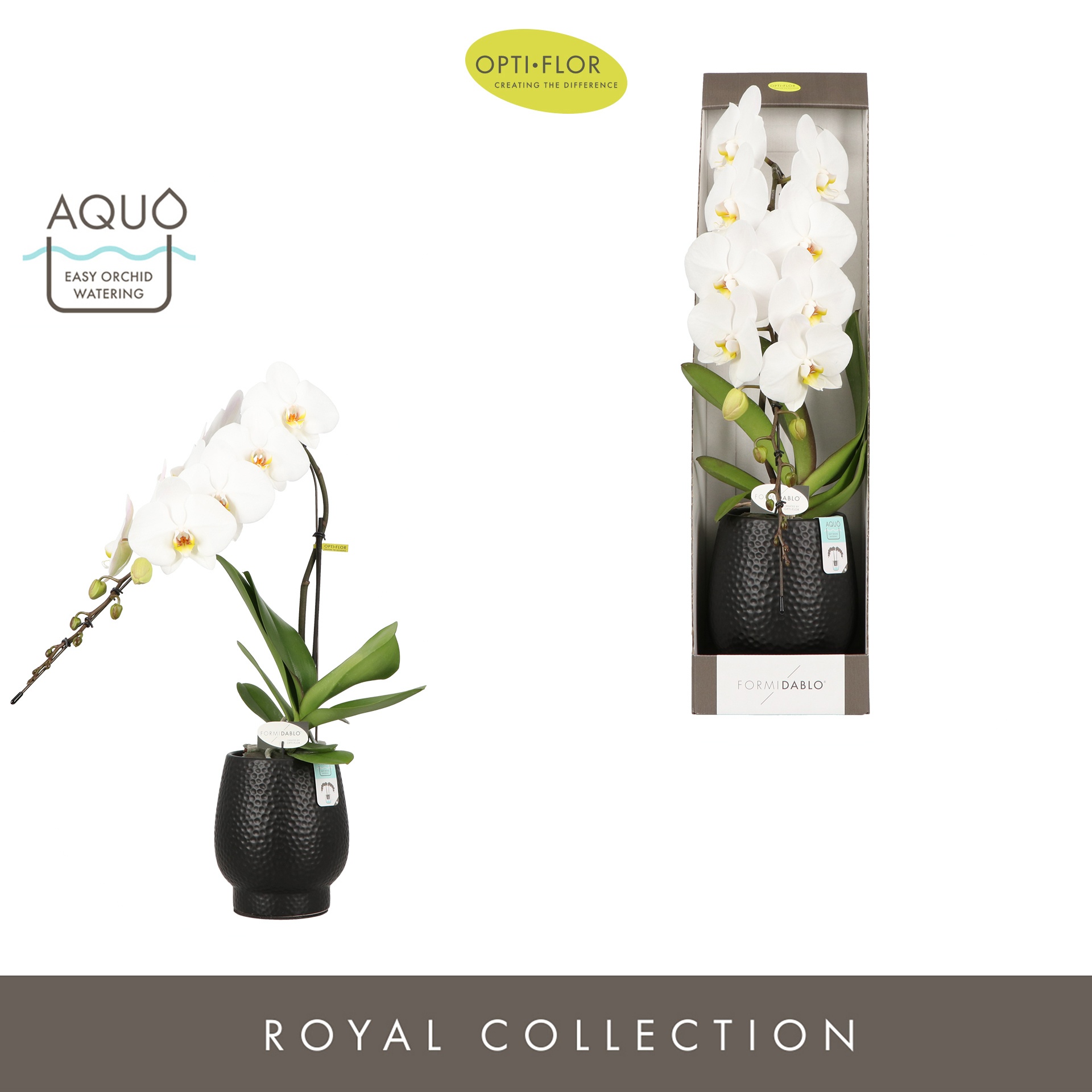 Formidablo Niagara Falls in Abruzzo Black Aquo Showdoos, D 12