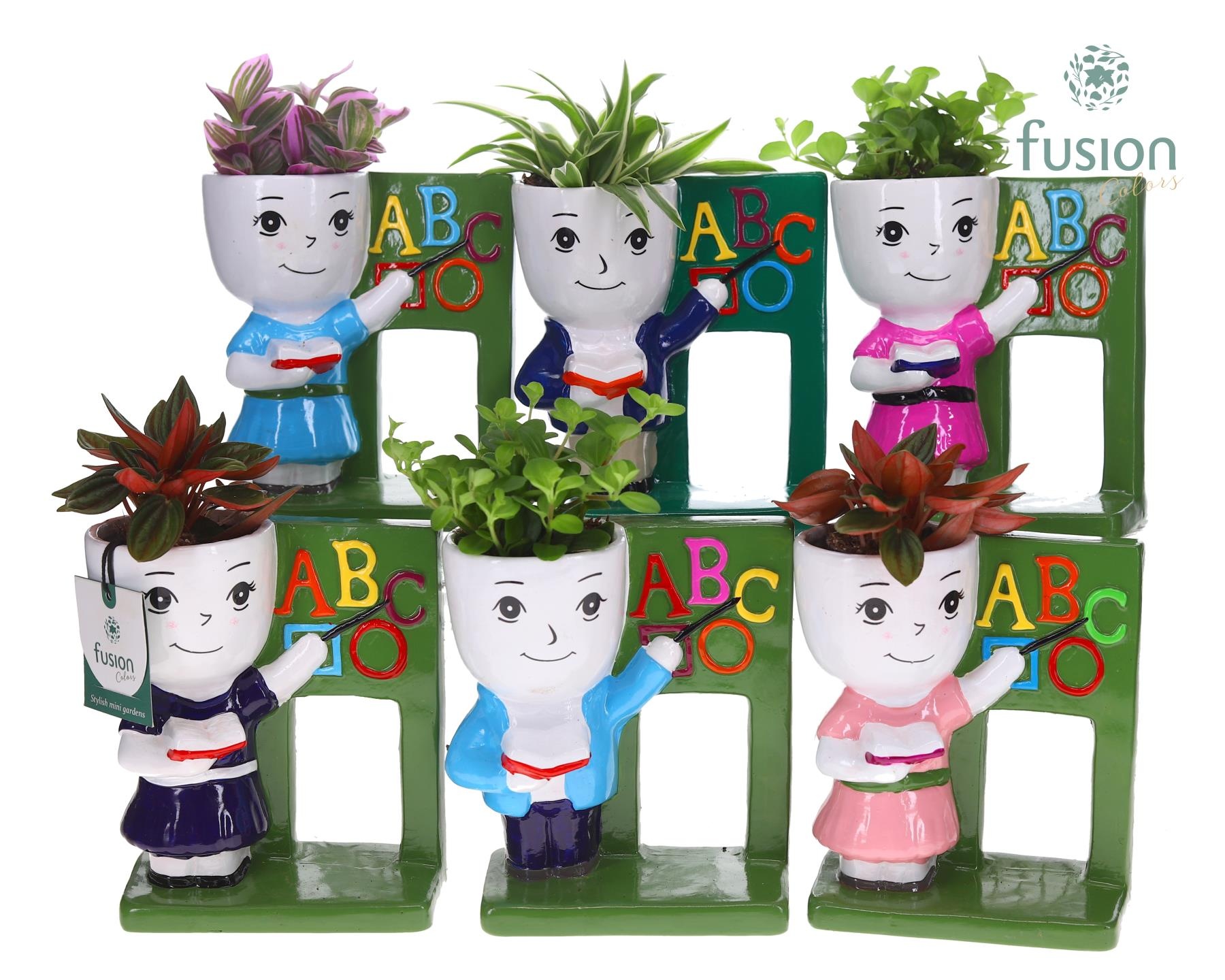 Keramiek back to school met Groenen planten mix, D 16