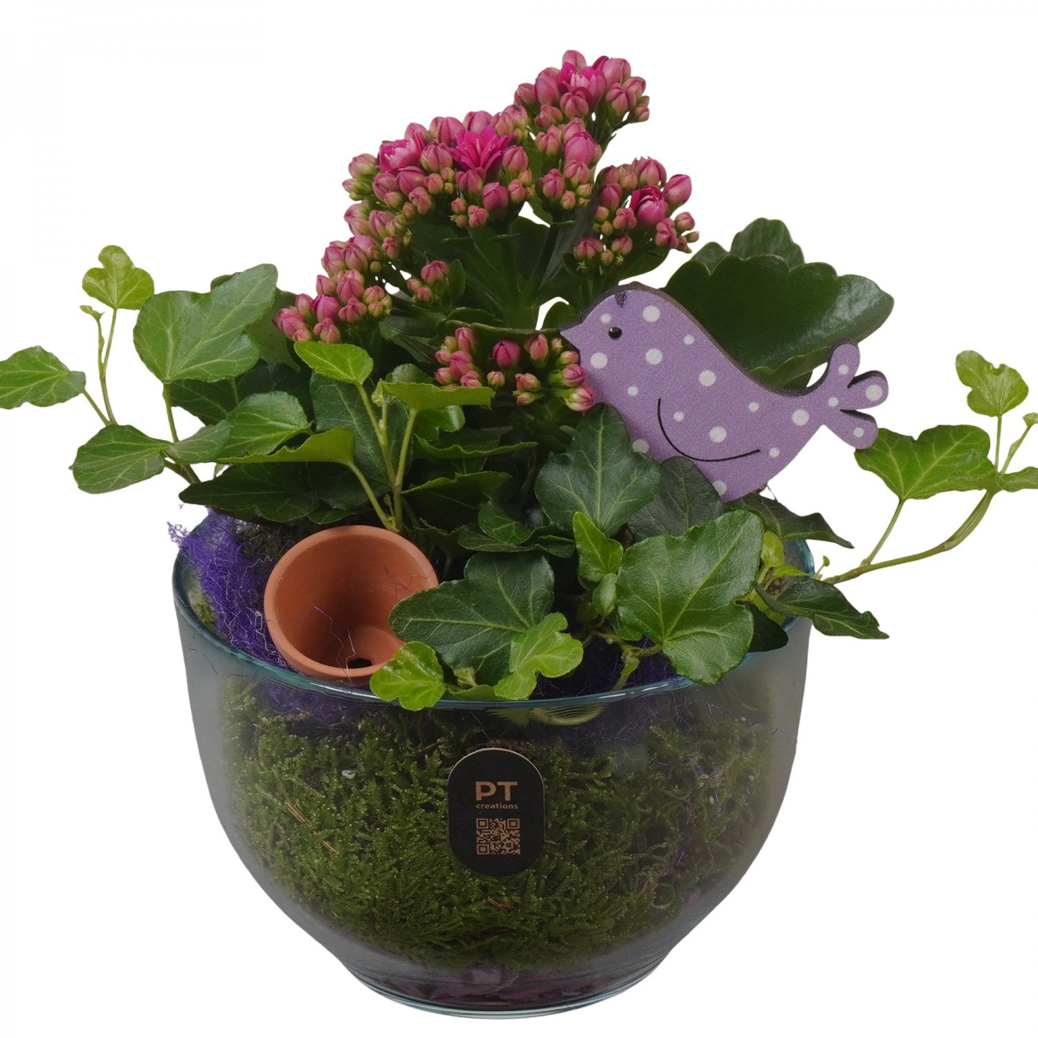 PTIG2643 Arrangement Indoor in glas schaal, D 13