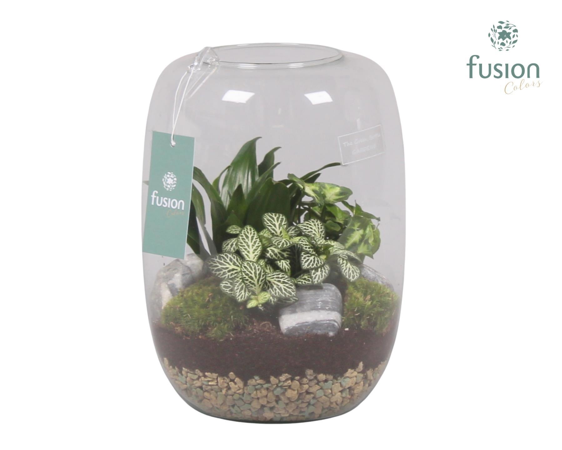 Green Bottle Isabella Large met Groene Planten Arrangement, D 19