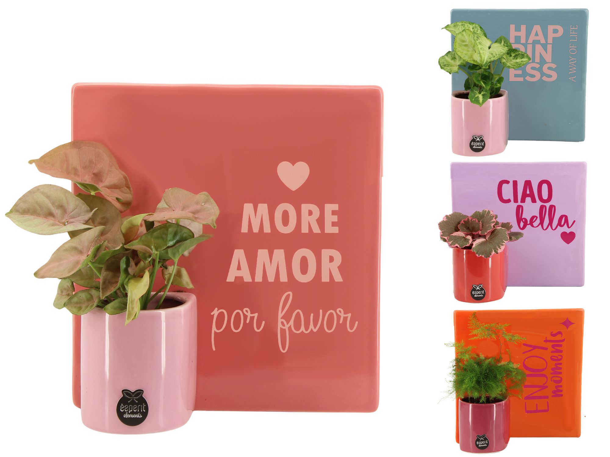 22010: Lovess arrangement, D 18