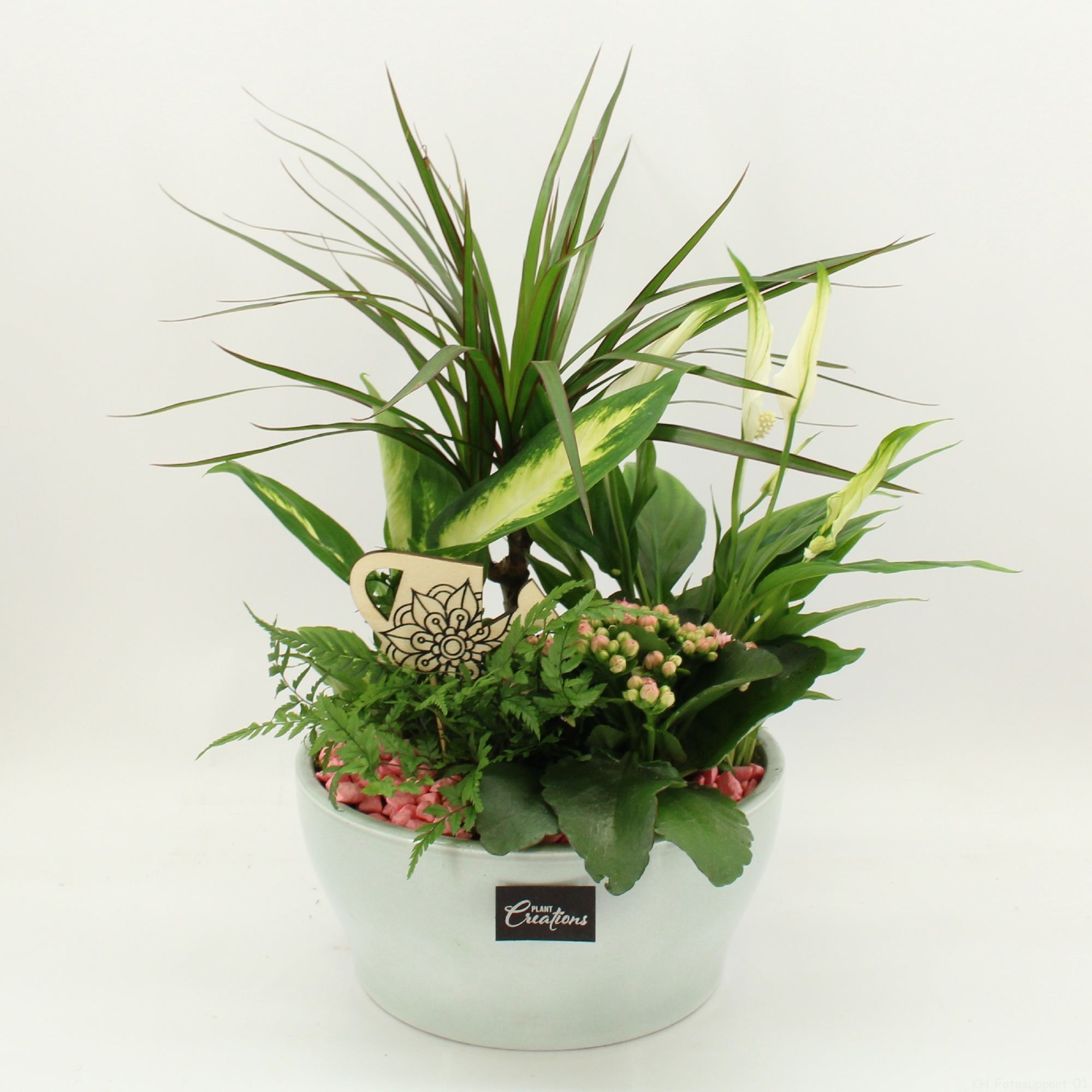 FDCR-2612RZ Basic Fundamentals, D 22