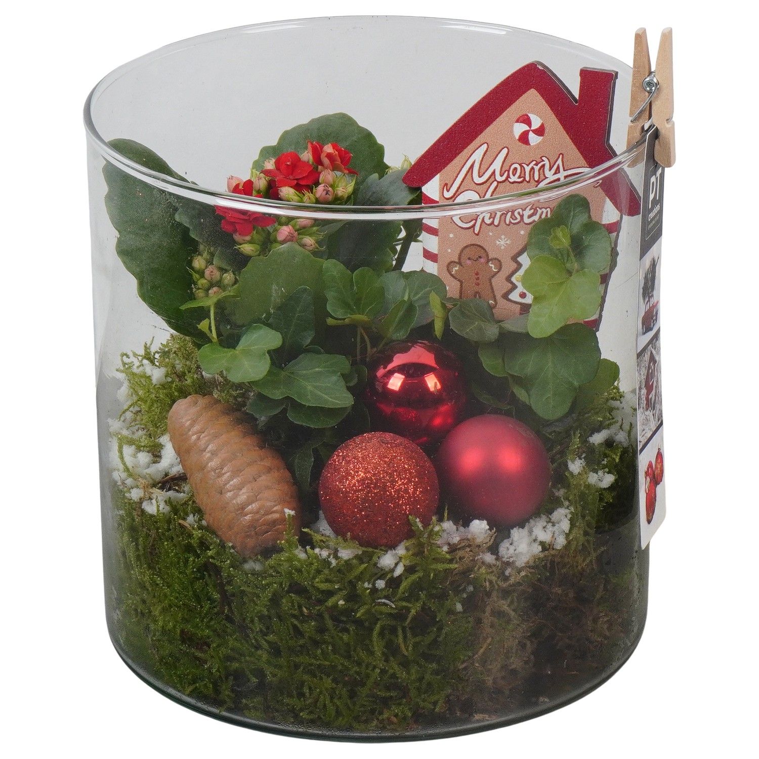 PTCHR7464 Arrangement Christmas Red in glazen pot, D 15 cm