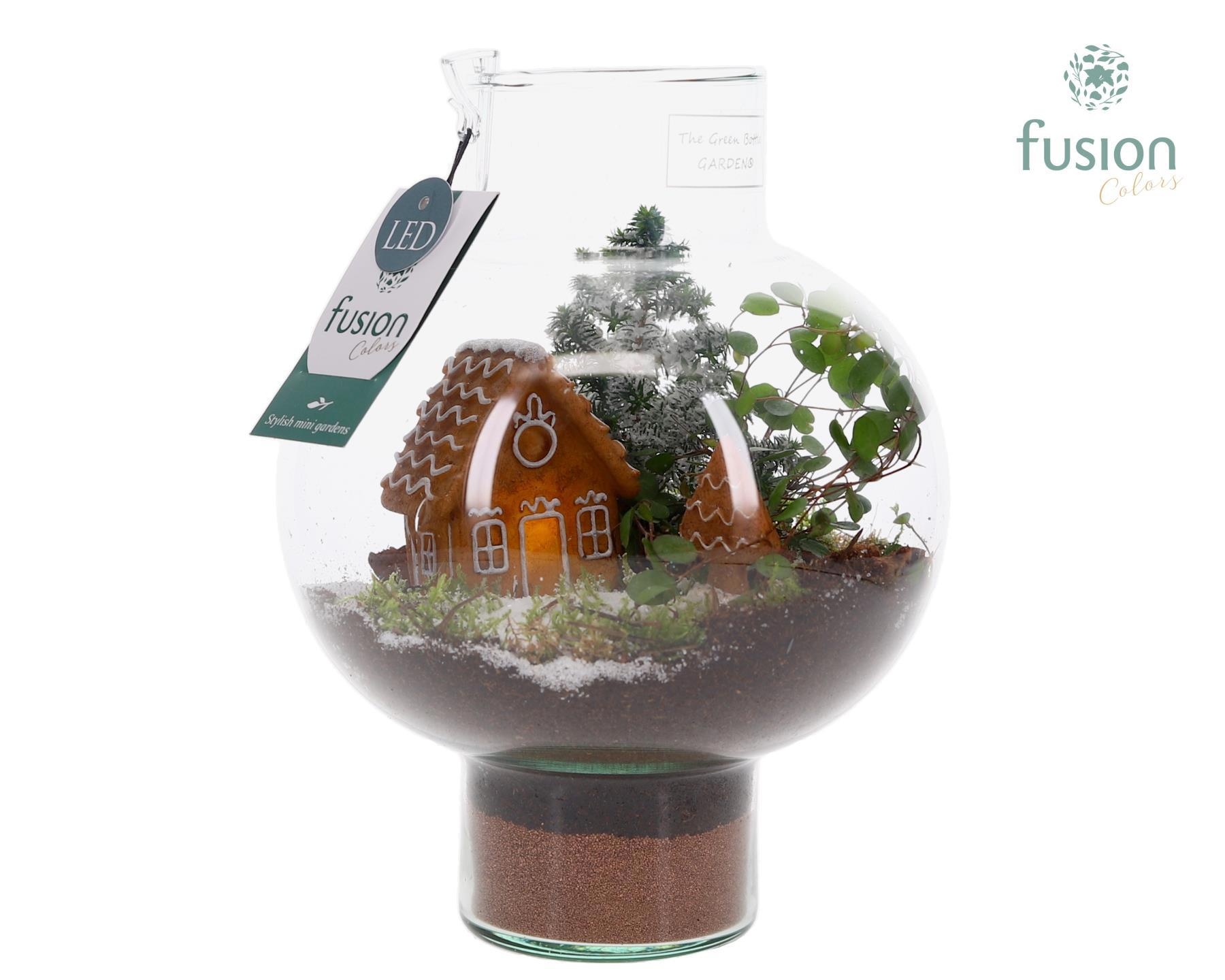 Green BottleLaura Small met Kerst Arrangement, D 20 cm Green BottleLaura Small met Kerst Arrangement, D 20 cm