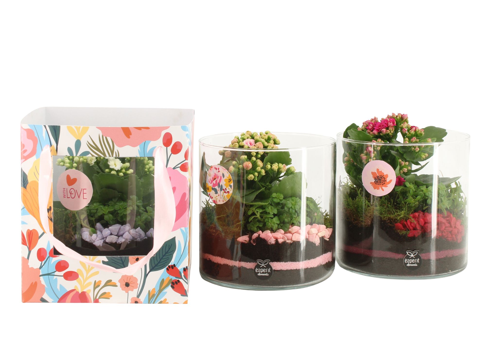 21874: Lovess arrangement, D 17