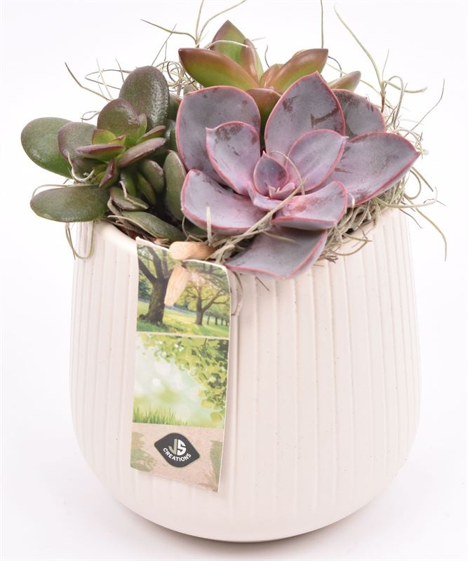 Keramiek vert.lines creme mat 12cm, D 12