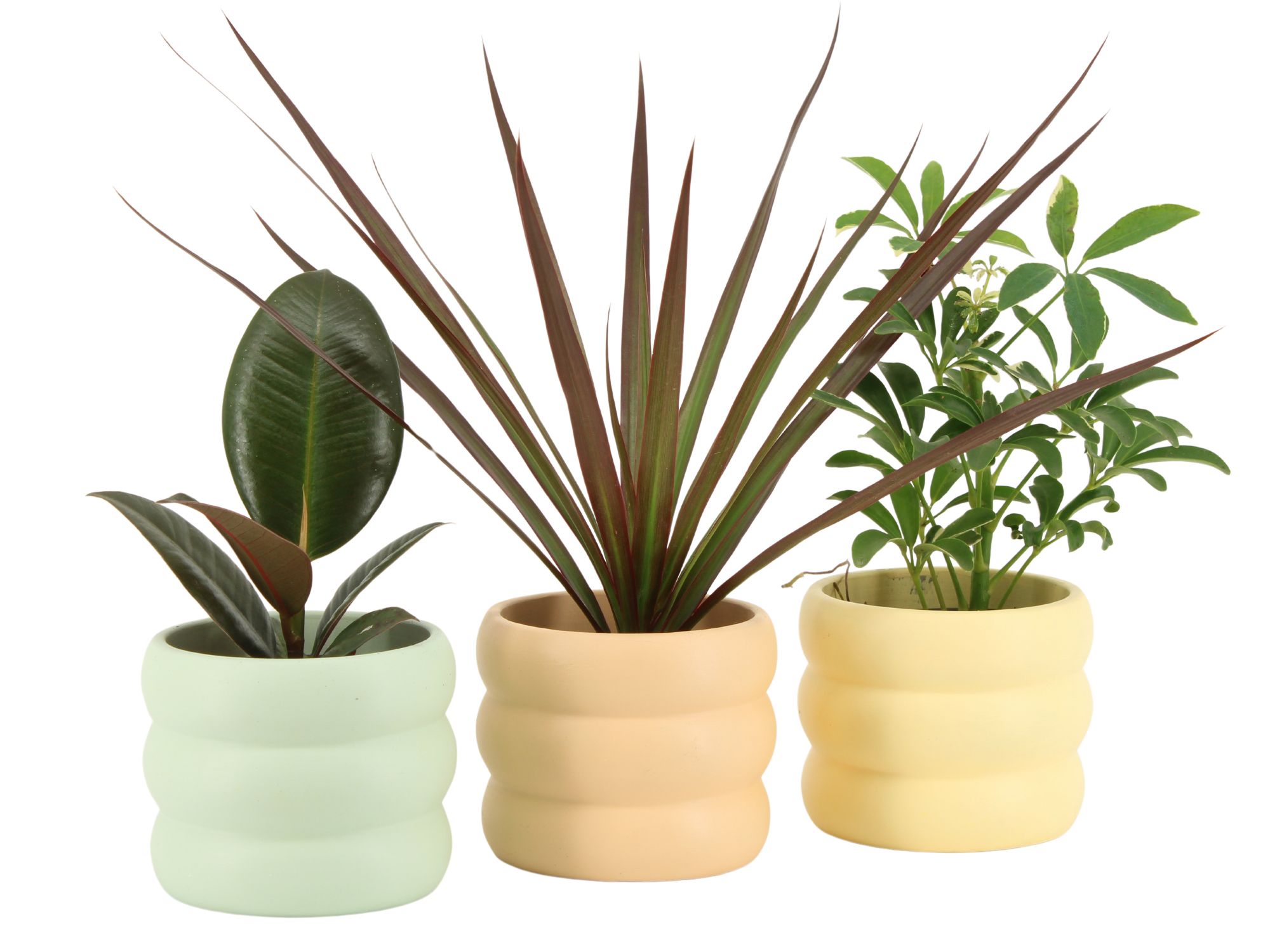 7502448: Solutionss Soft sculpture, D 8,5