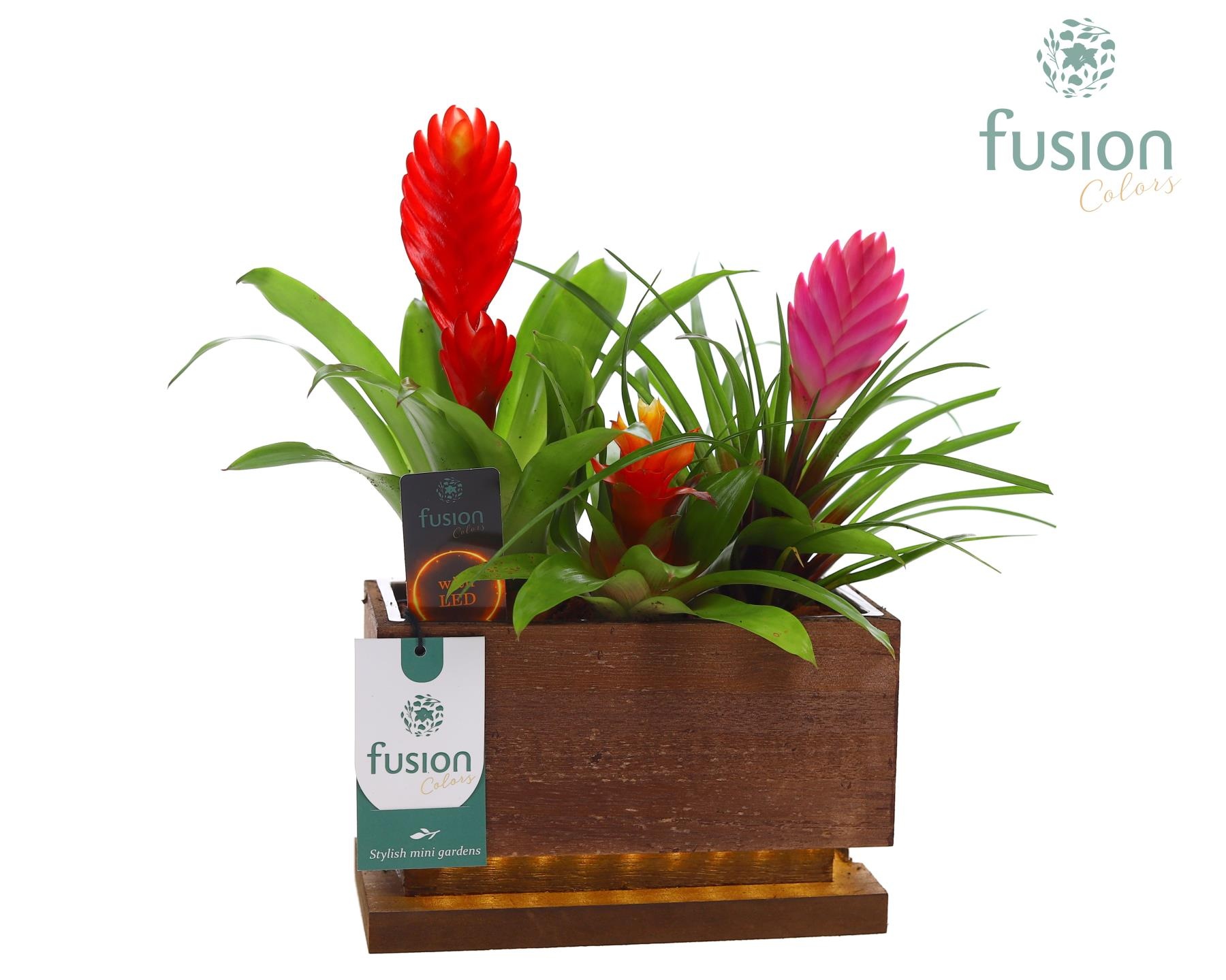 The Green Lighting Garden LED Small lang met Arrangement, D 19