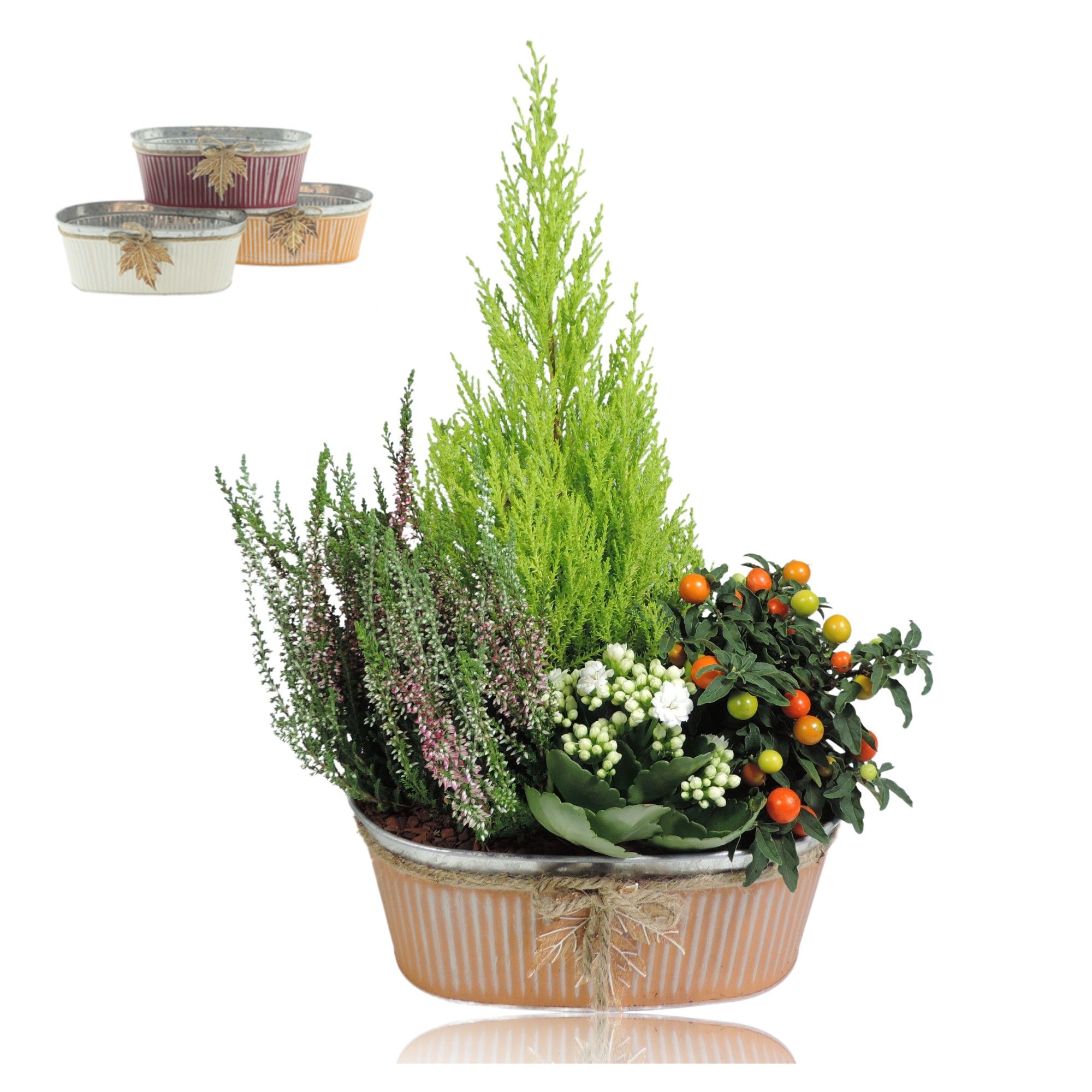 Collectie Autumn Leaf Arrangement in Zinken Schaal Ovaal 26 cm, D 26