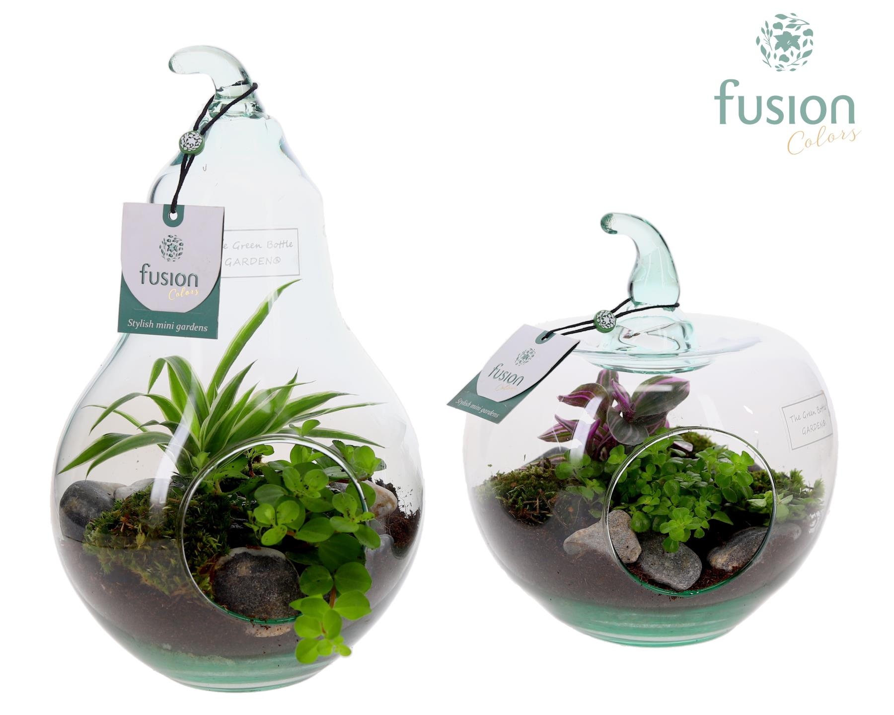 Peer en Appel glas met arrangement, D 18