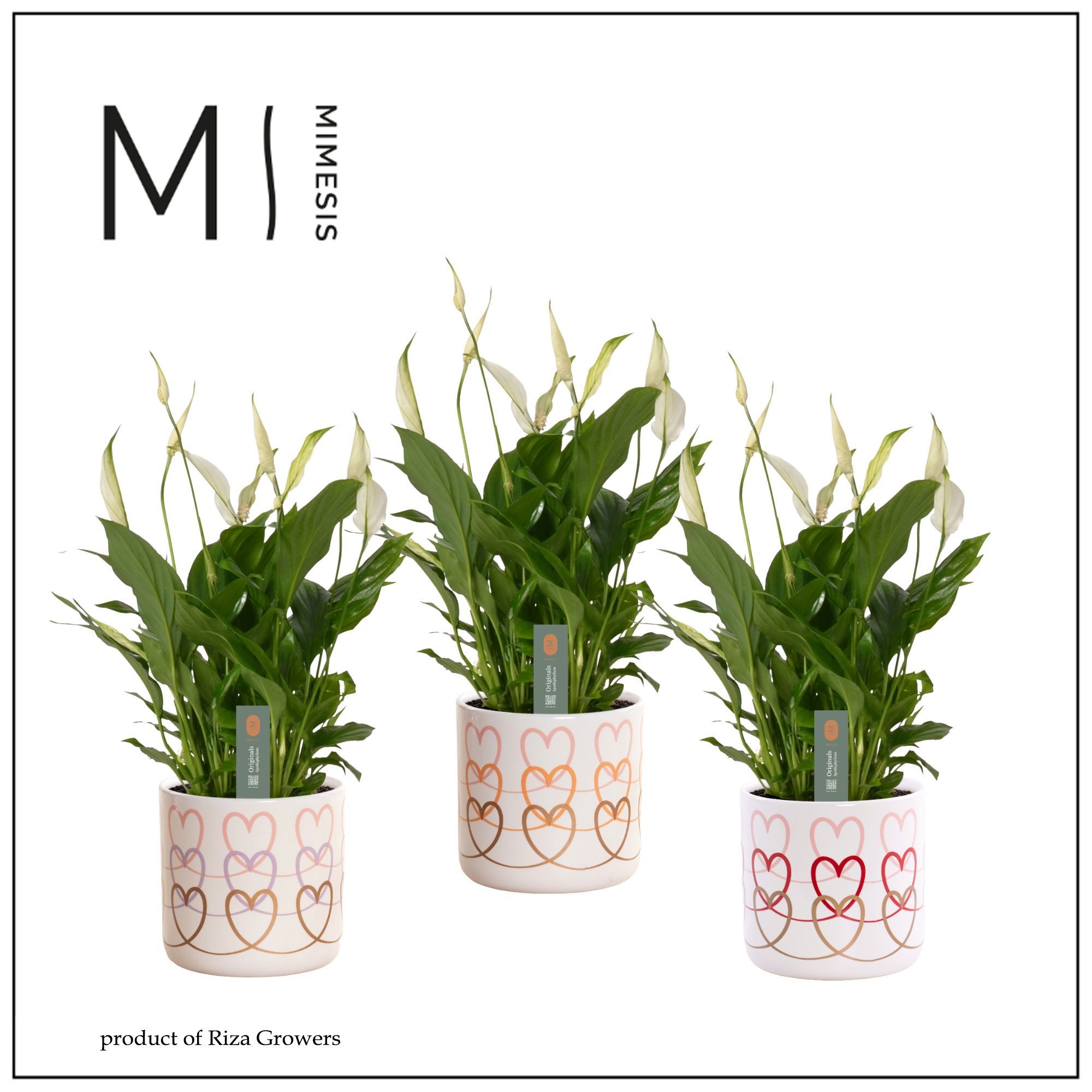 Mimesis Spathiphyllum Bellini -13 cm in Estelle - Craft World, D 13