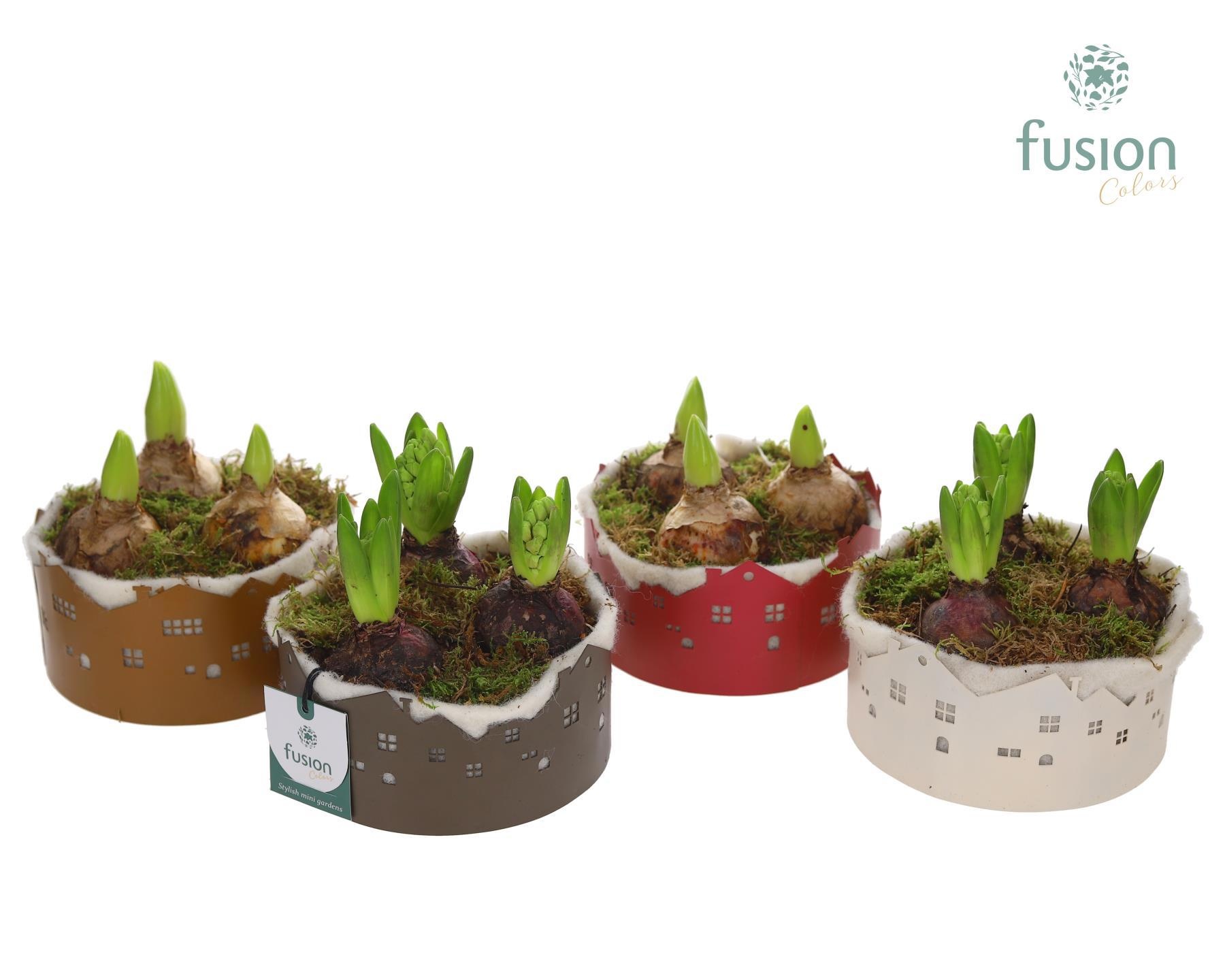 Zinken schaal Huisjes Small met Hyacinten, D 15 cm