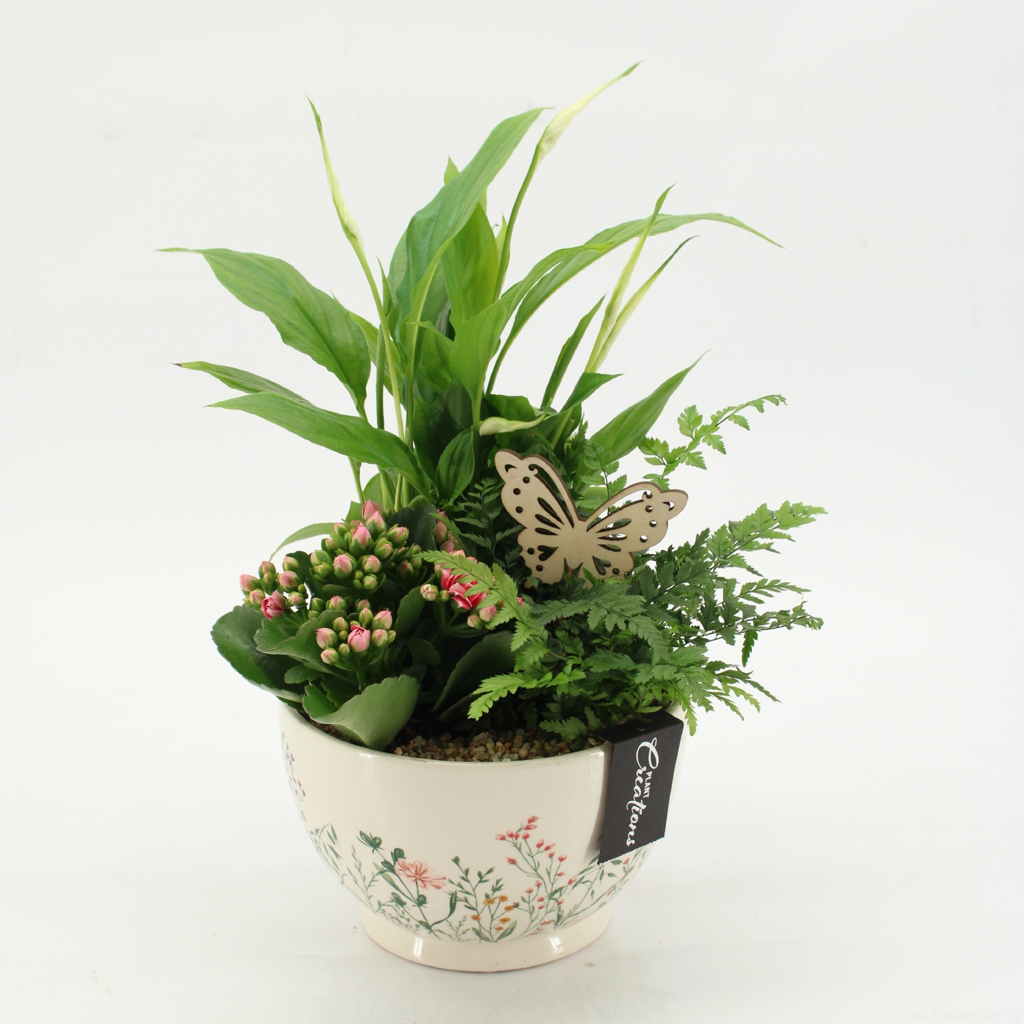 ESCR-2602RZ Essentials, D 17