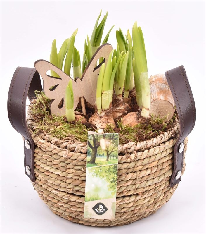 Touw mand met leerhandvat 18cm, D 20