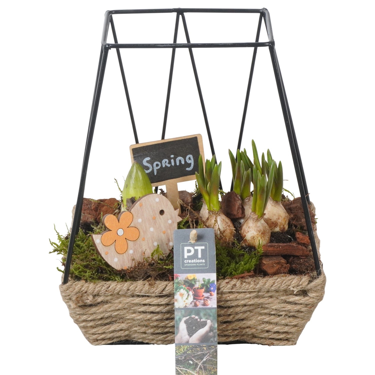 PTBM3861 Arrangement Flower Bulbs Mix in touwmand met metaal, D 19