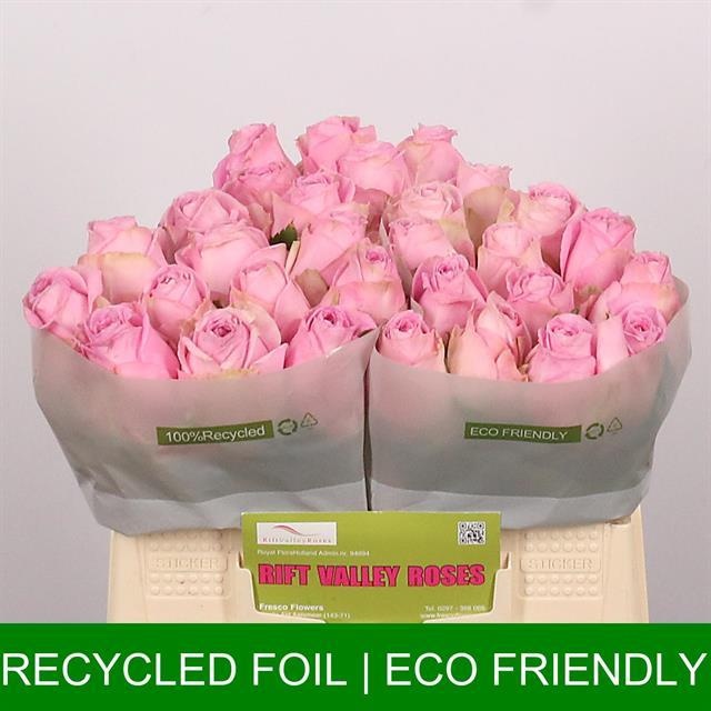 Роза од. Хайди 35, шт.