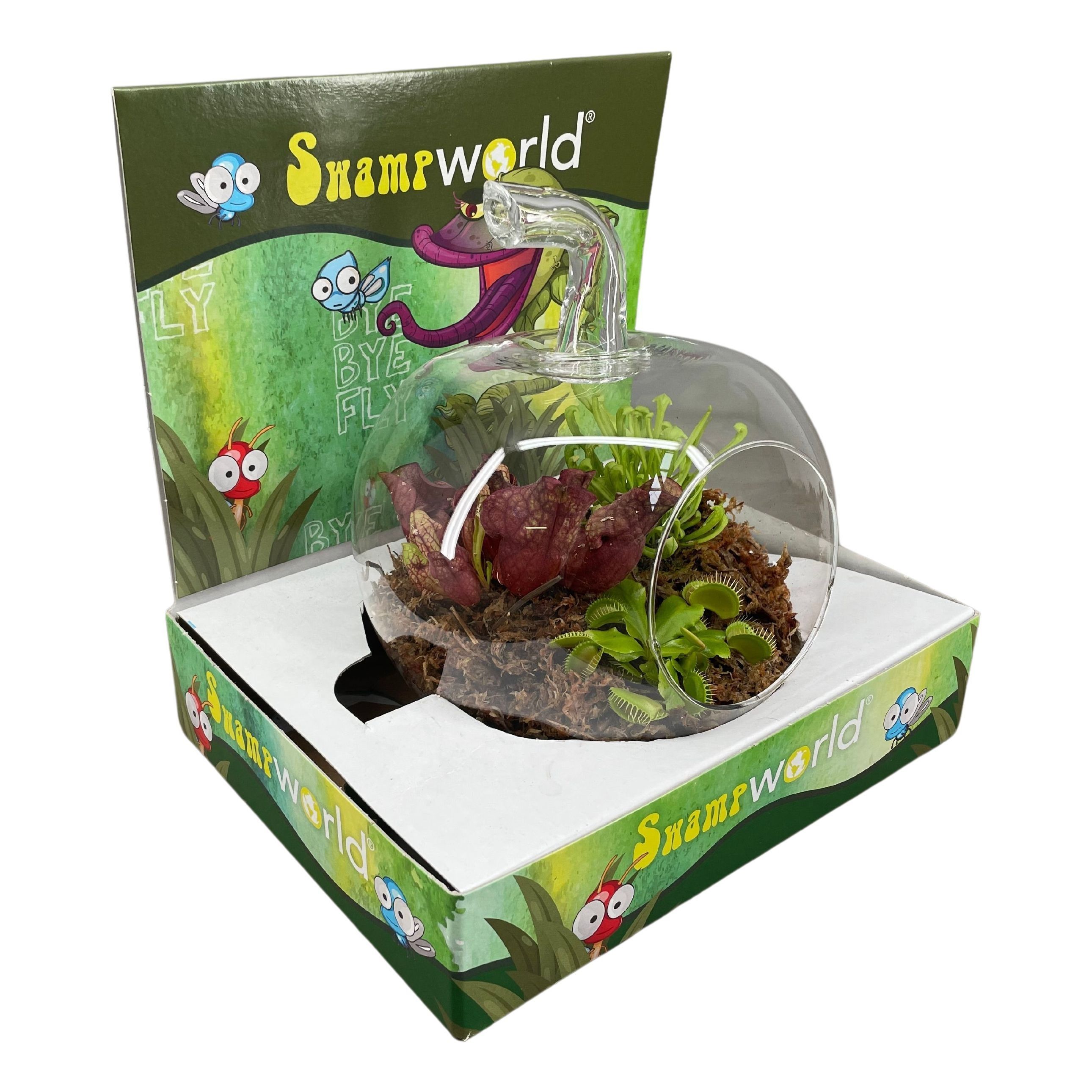 Terrarium appel glas in display, D 20