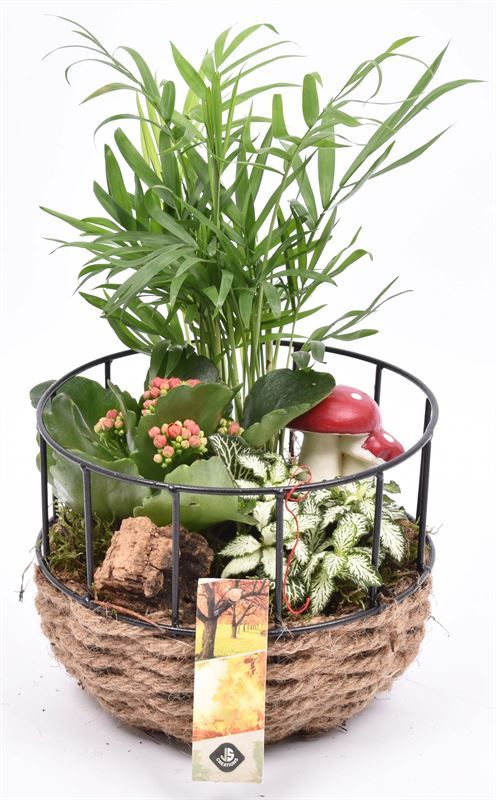 Gaasmand met touw 18cm, D 18 cm Gaasmand met touw 18cm, D 18 cm