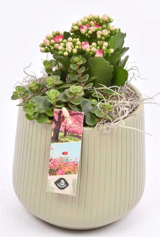 Touwmand naturel 18cm, D 15