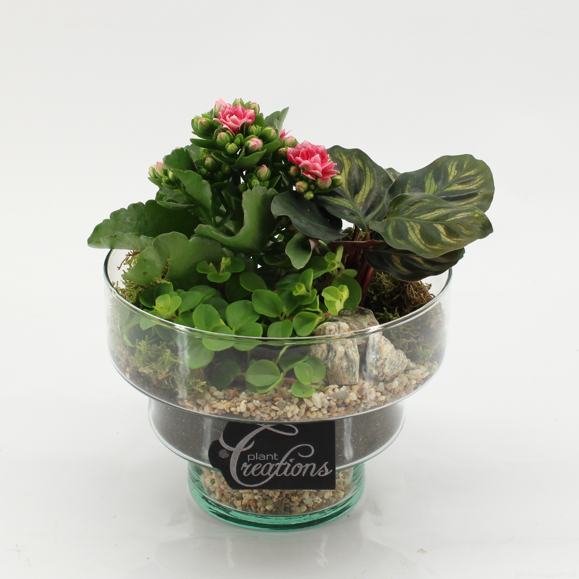 ESCR-2627RZ Essentials, D 17