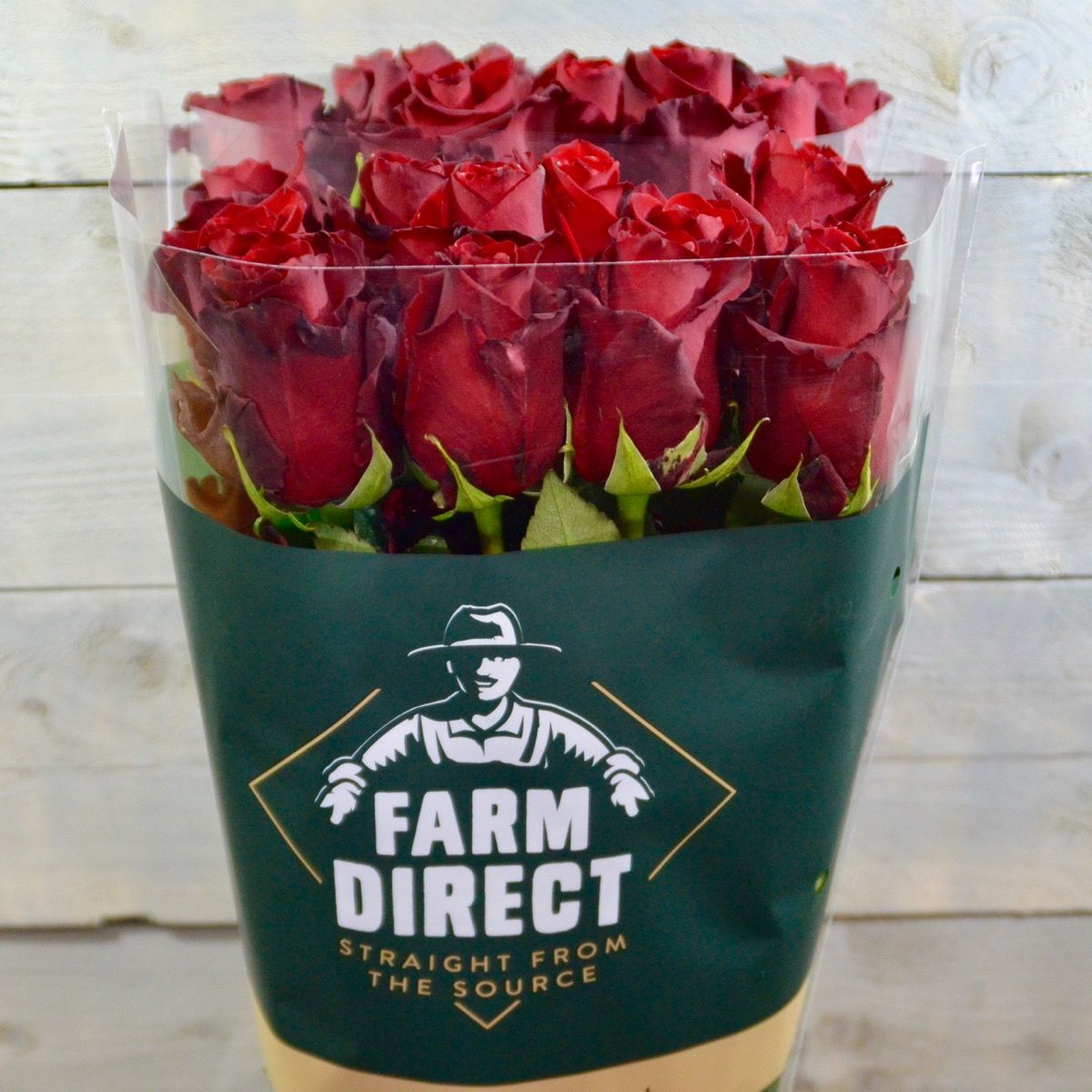 Роза од. Эксплорер 60, шт.