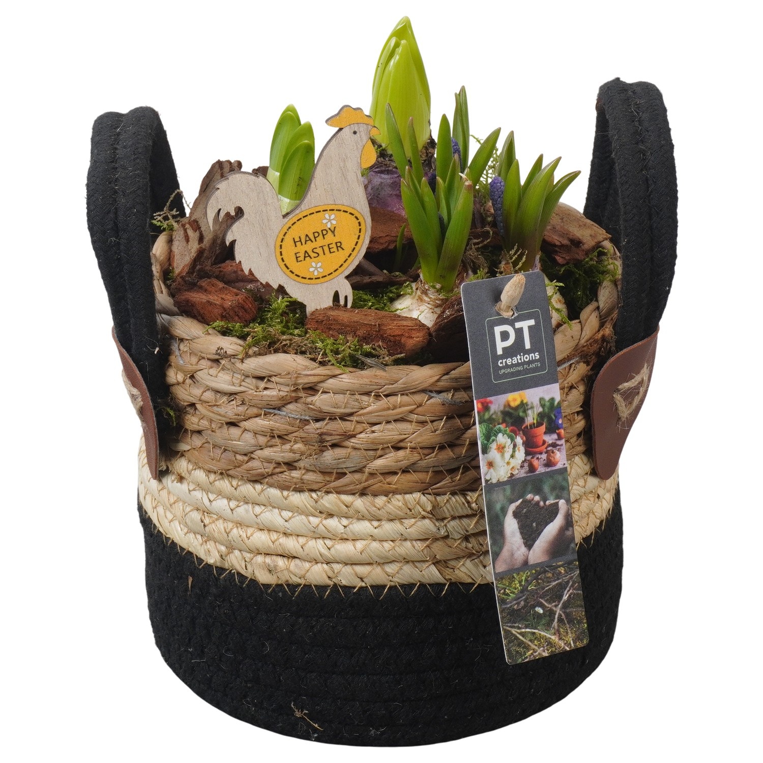 PTBMP5688 Arrangement Easter Bulbs Mix in rieten mand, D 13