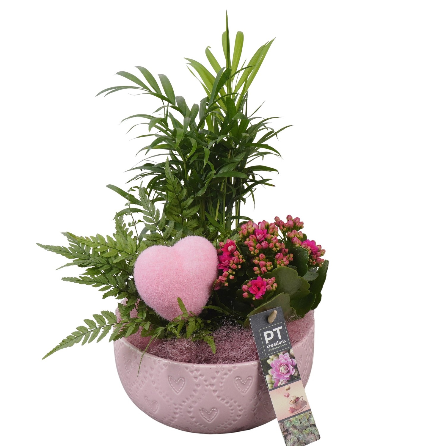 PTVMB2300 Arrangement Valentines-Mothersday in keramiek sierpot, D 17