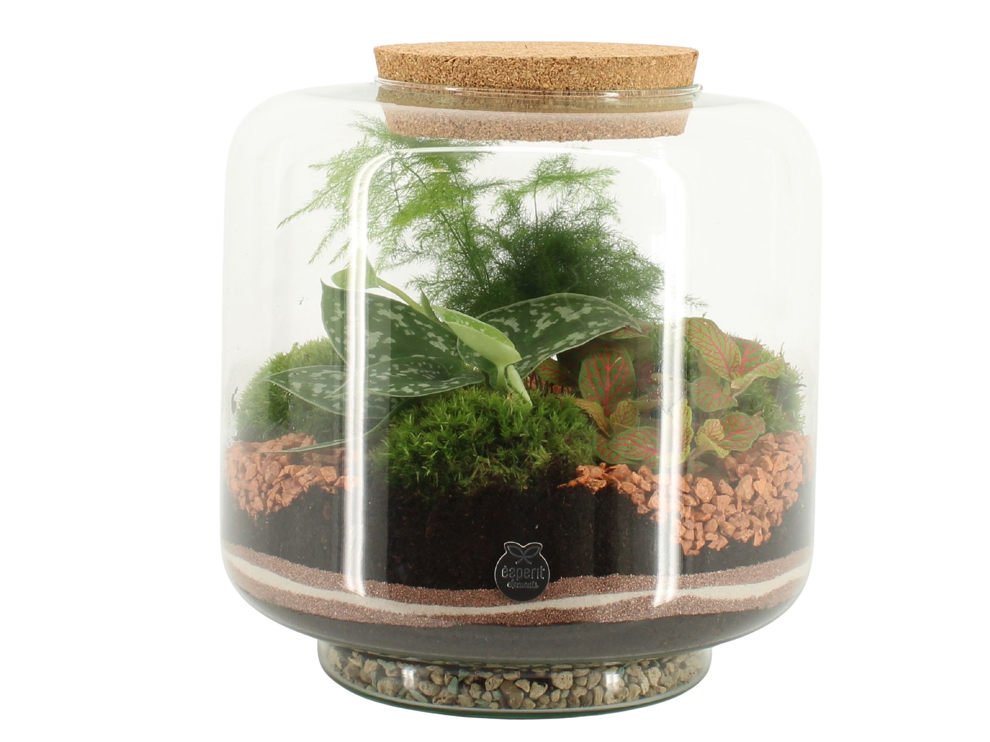 41545: Treasure time arrangement, D 24 cm 41545: Treasure time arrangement, D 24 cm