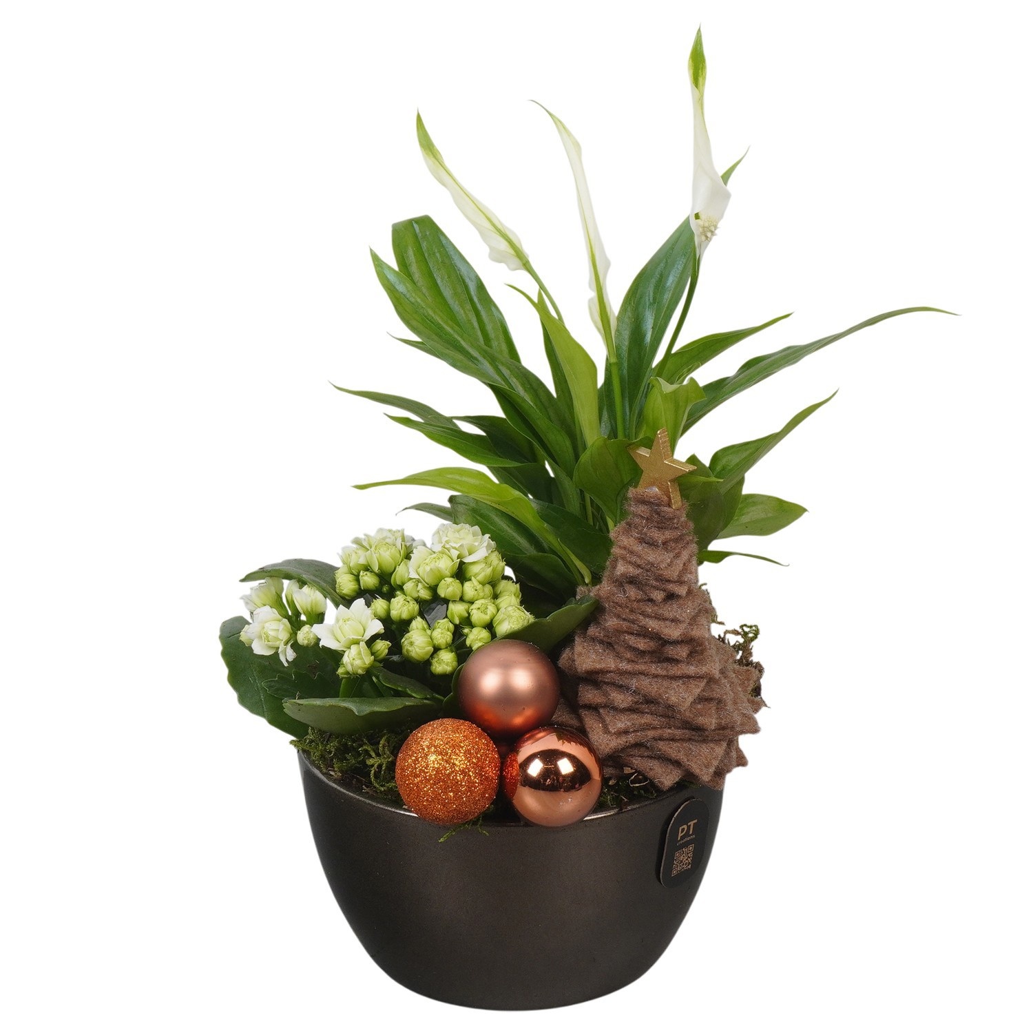 PTCHB5865 Arrangement Christmas Bronze in keramiek schaal, D 14