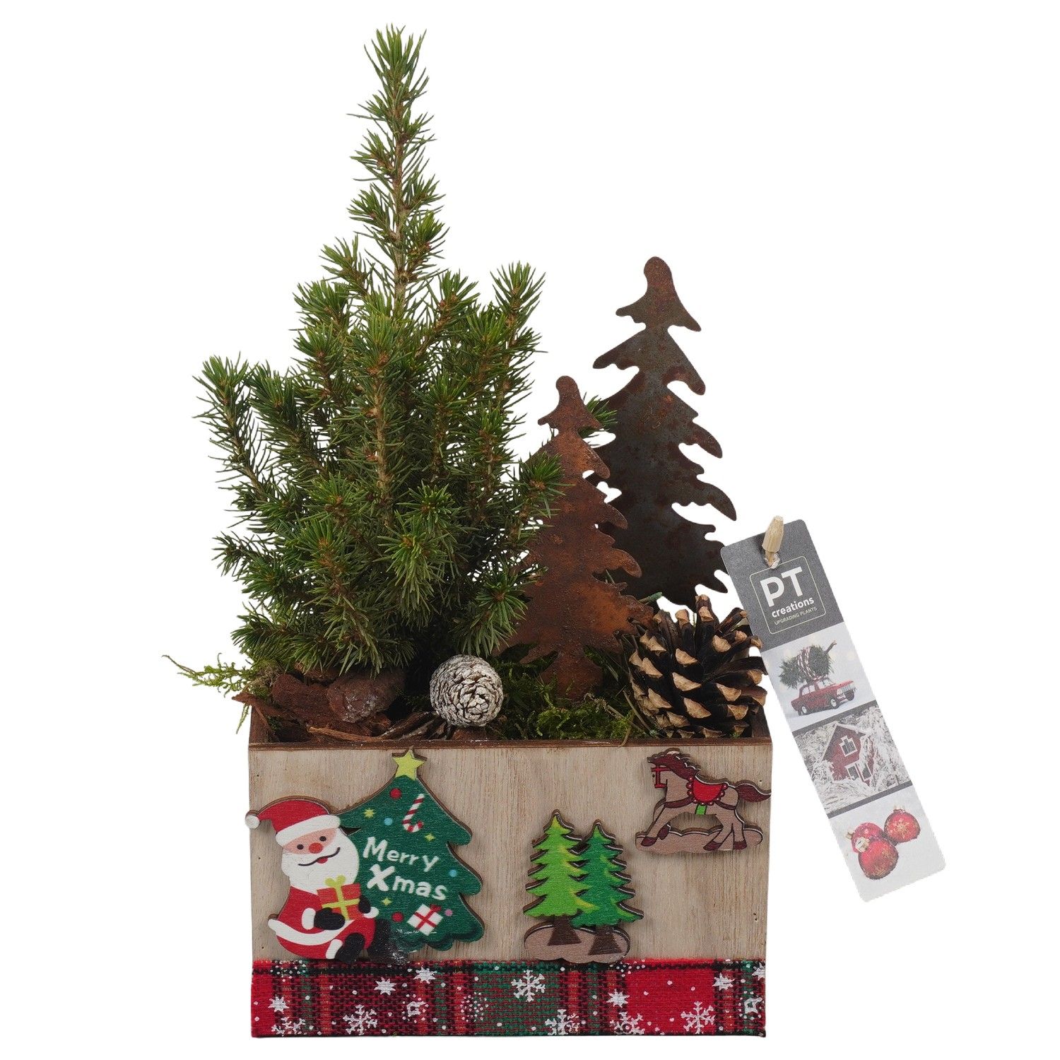 PTCWW6875 Arrangement Winter in houten bak, D 15 cm