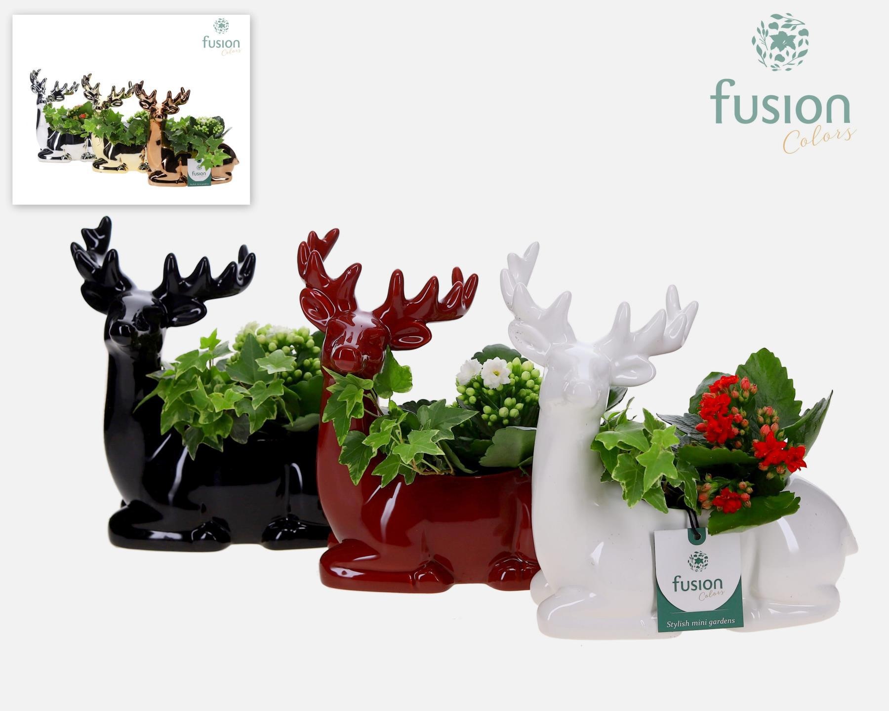 Keramiek rendier Kerst zittend met Arrangement, D 20