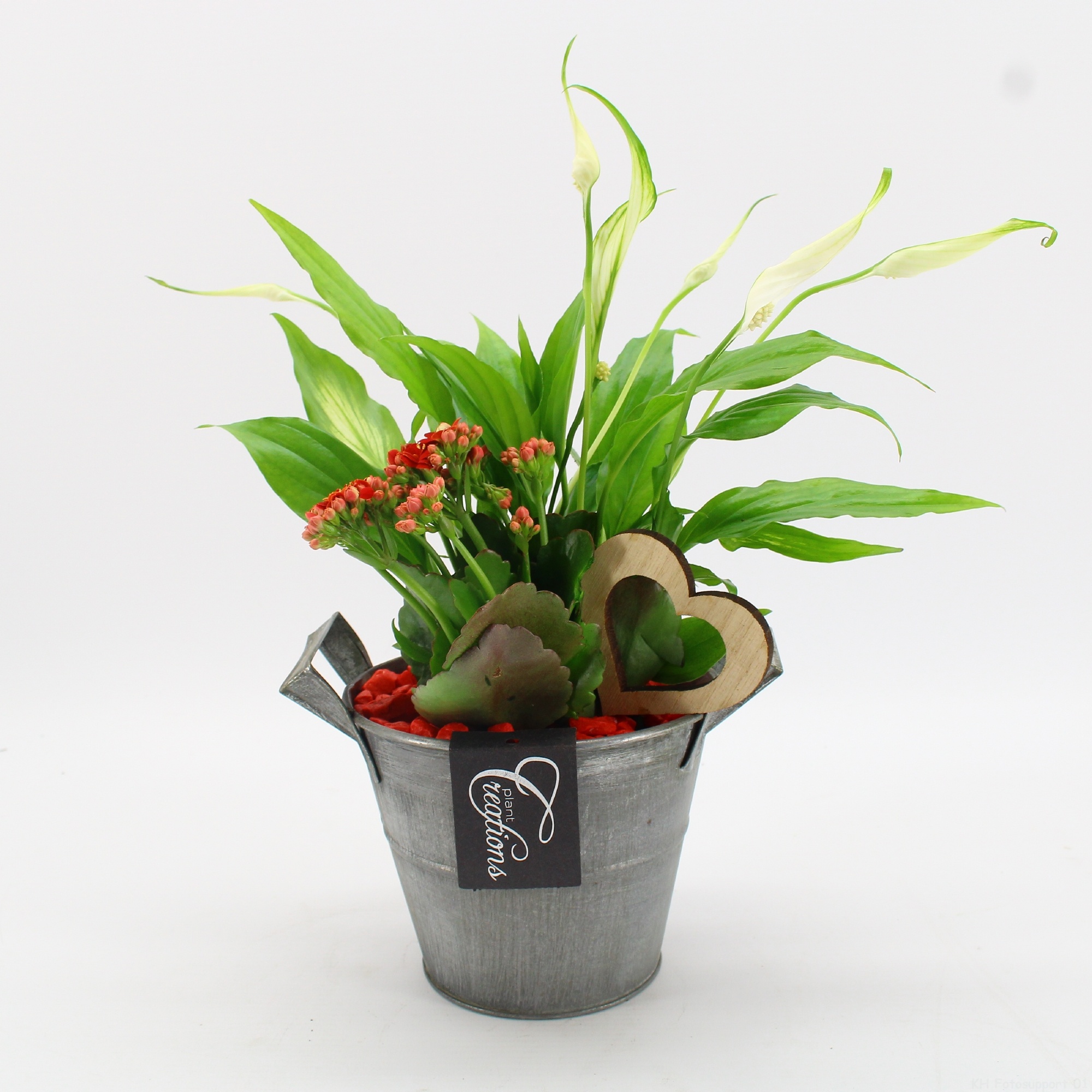 FDRM-2613R Romantic Fundamentals, D 14