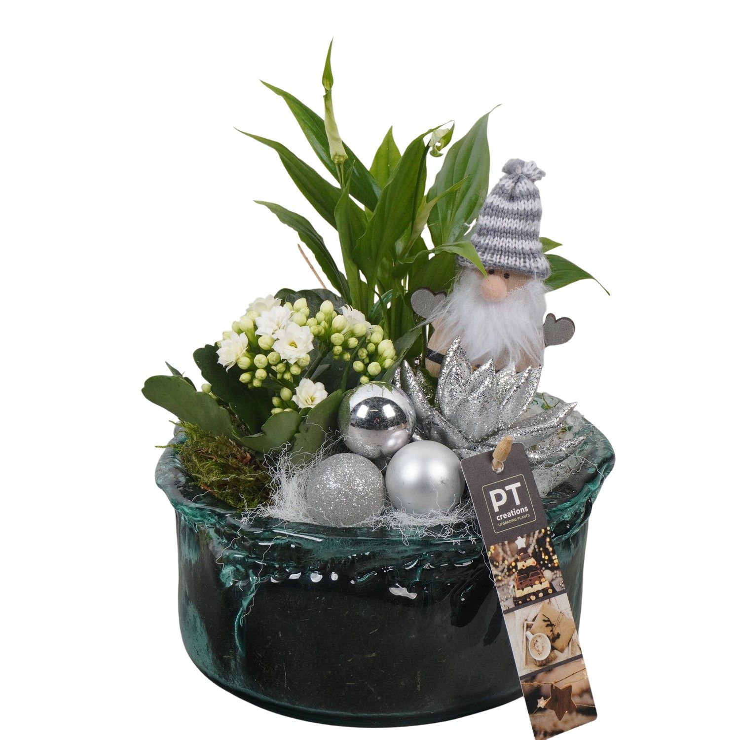 PTCHW4368 Arrangement Christmas White in glas schaal, D 18 cm