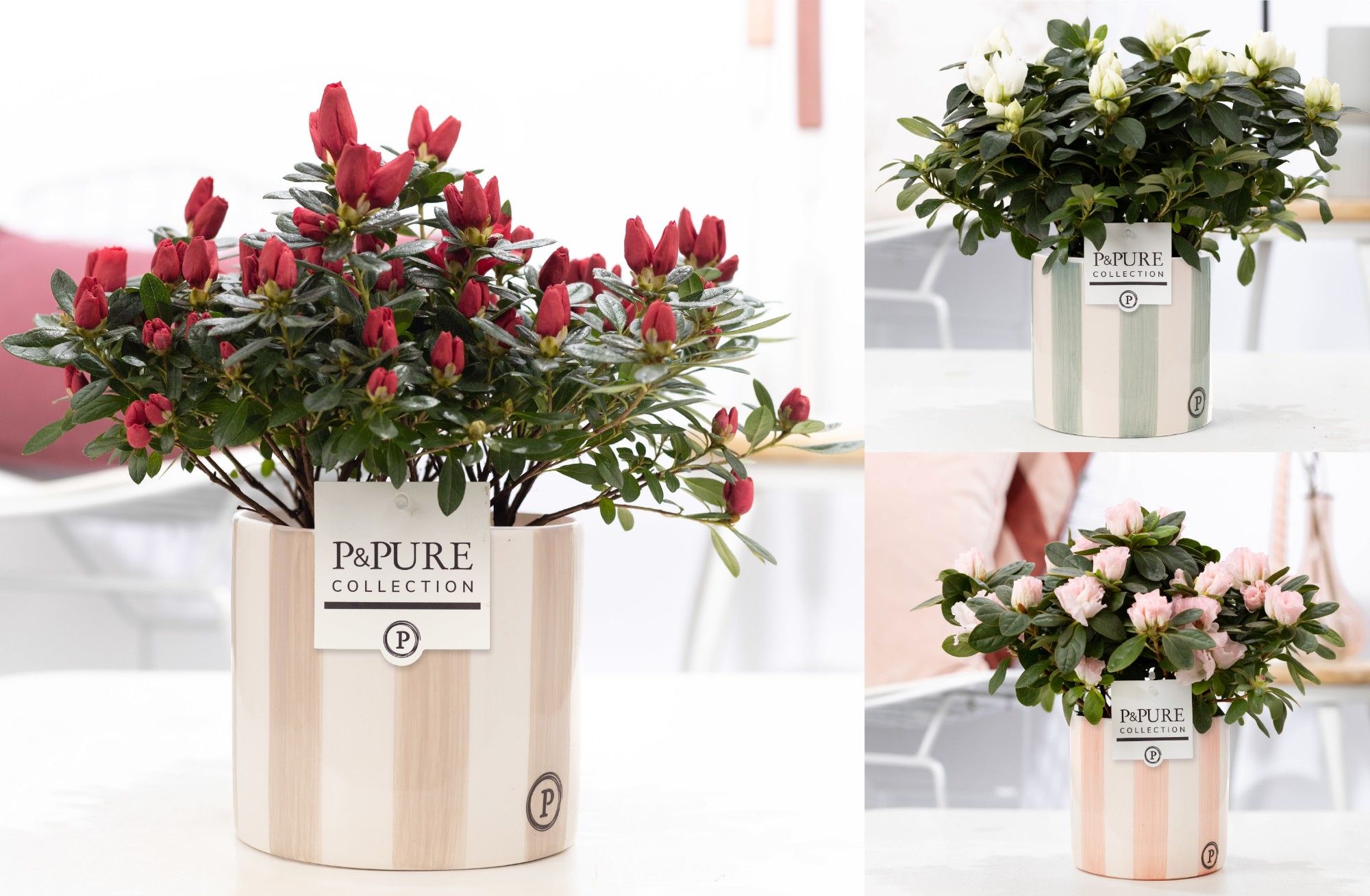 Azalea P&PURE Collection Eline keramiek, D 12