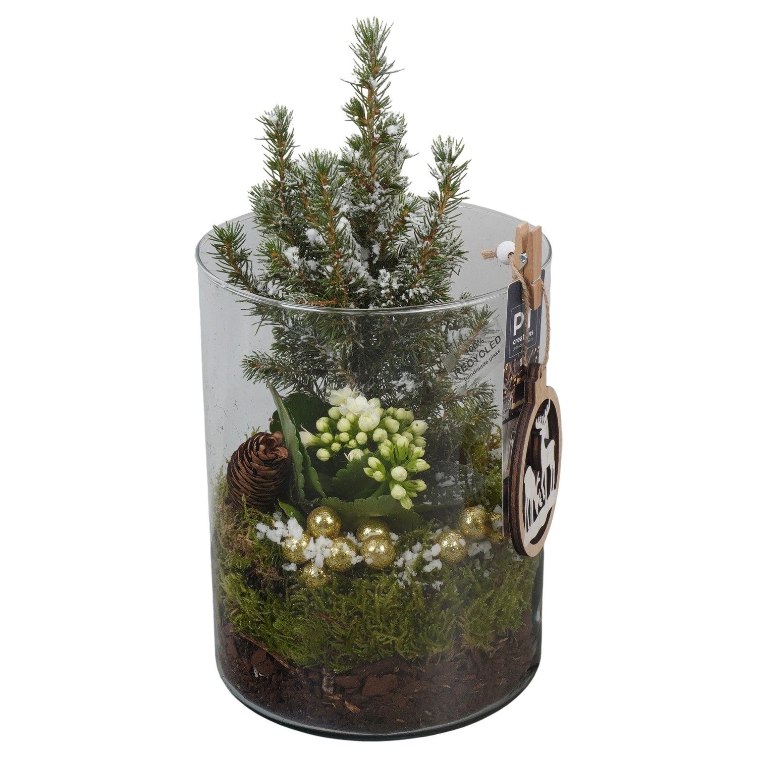 PTCHG5762 Arrangement Christmas Gold in glazen pot, D 15 cm