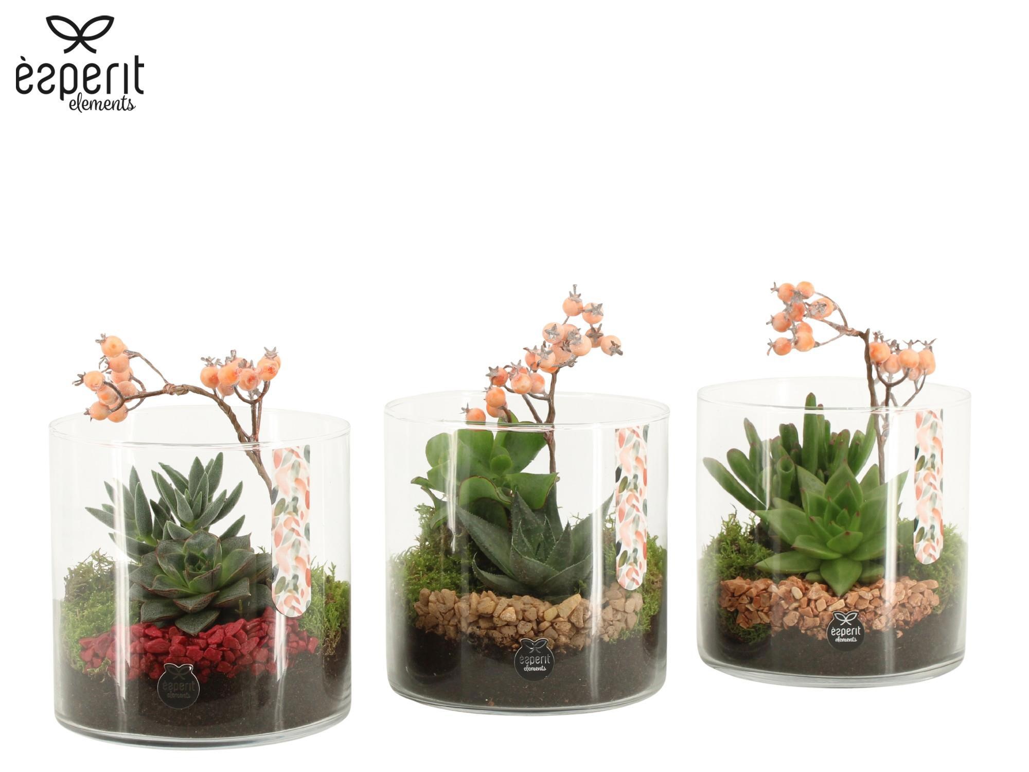 41792: Recreate arrangement, D 15