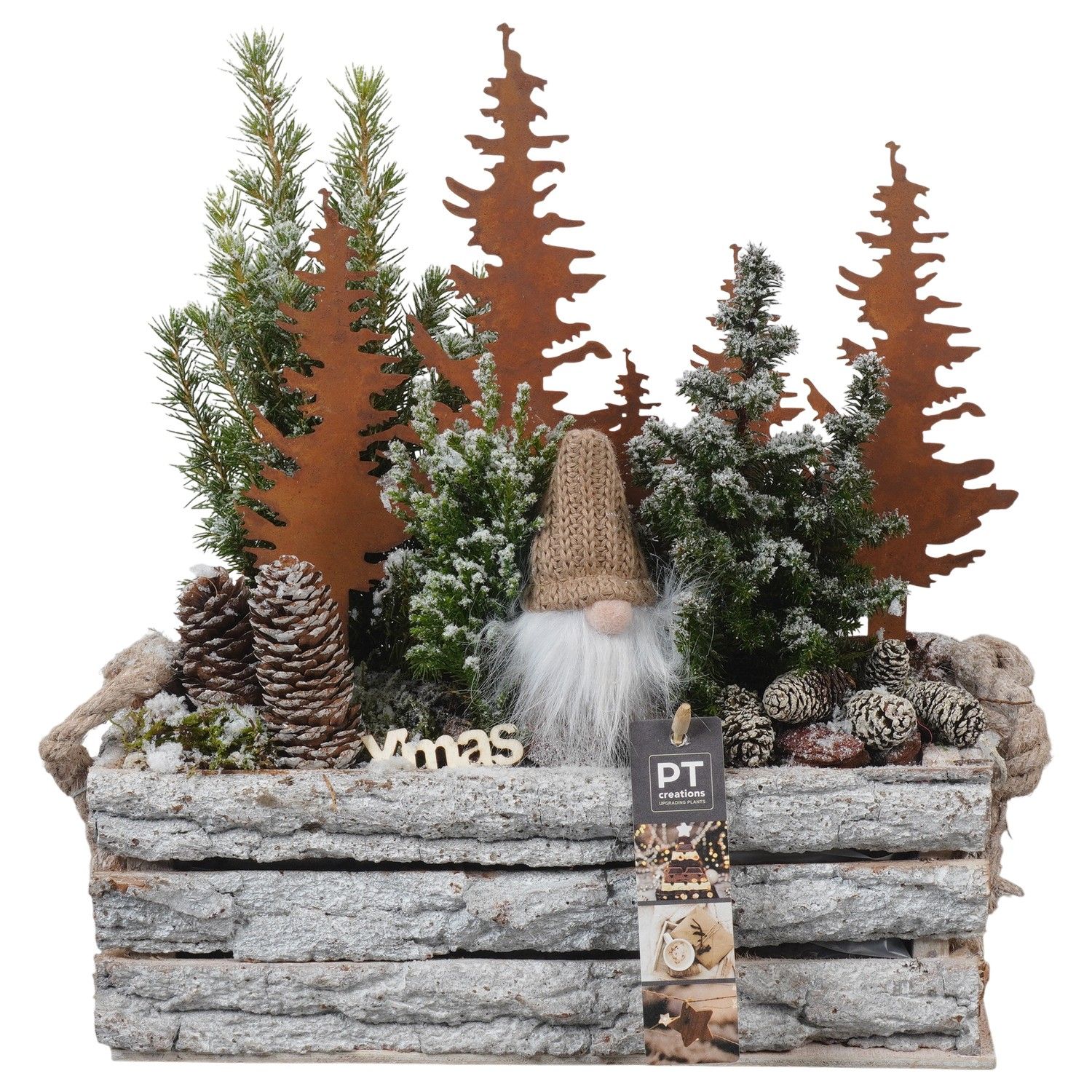 PTCWW6856 Arrangement Winter in houten bak, D 30 cm