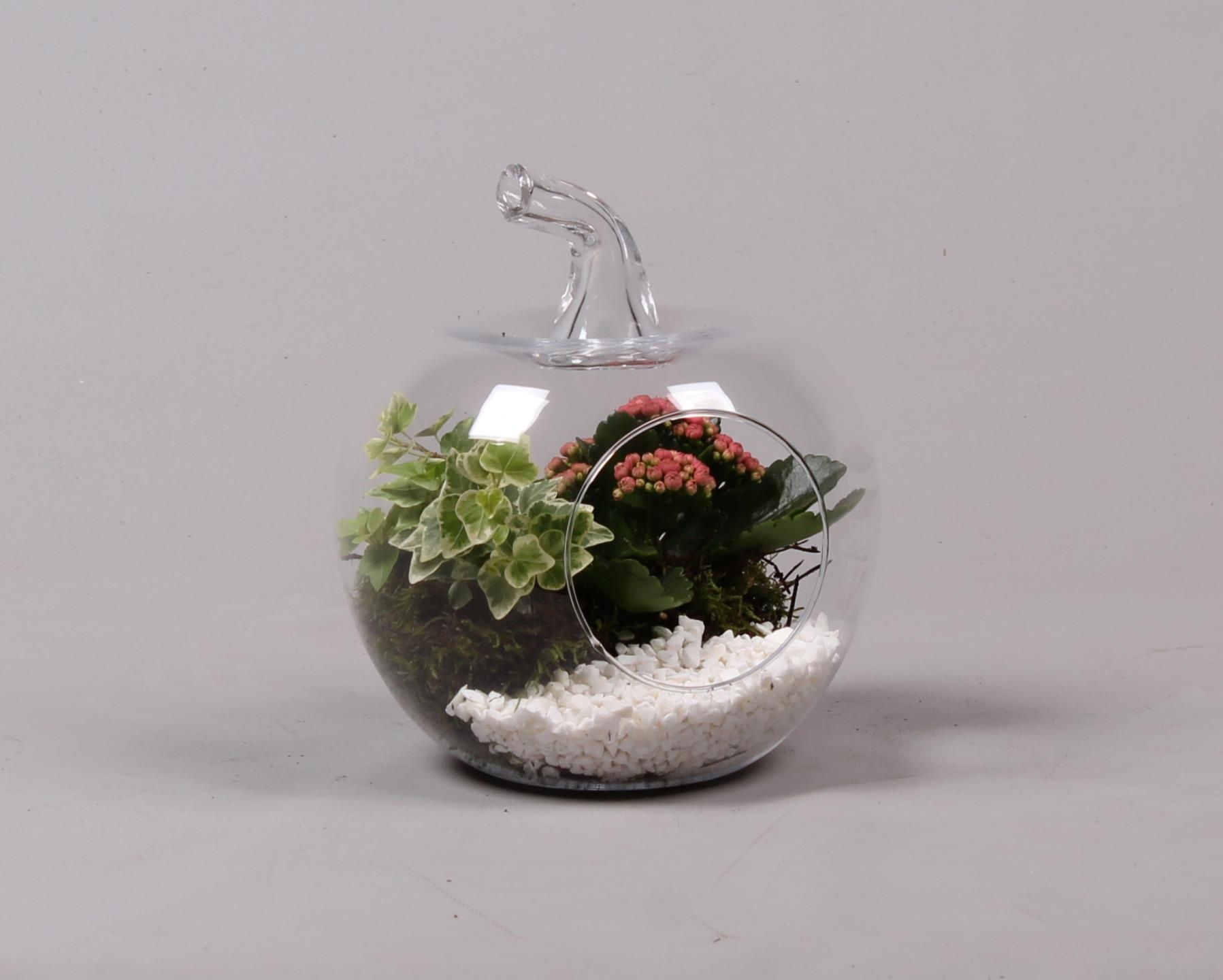 Glazen appel met Arrangement D18.5 H21, D 19