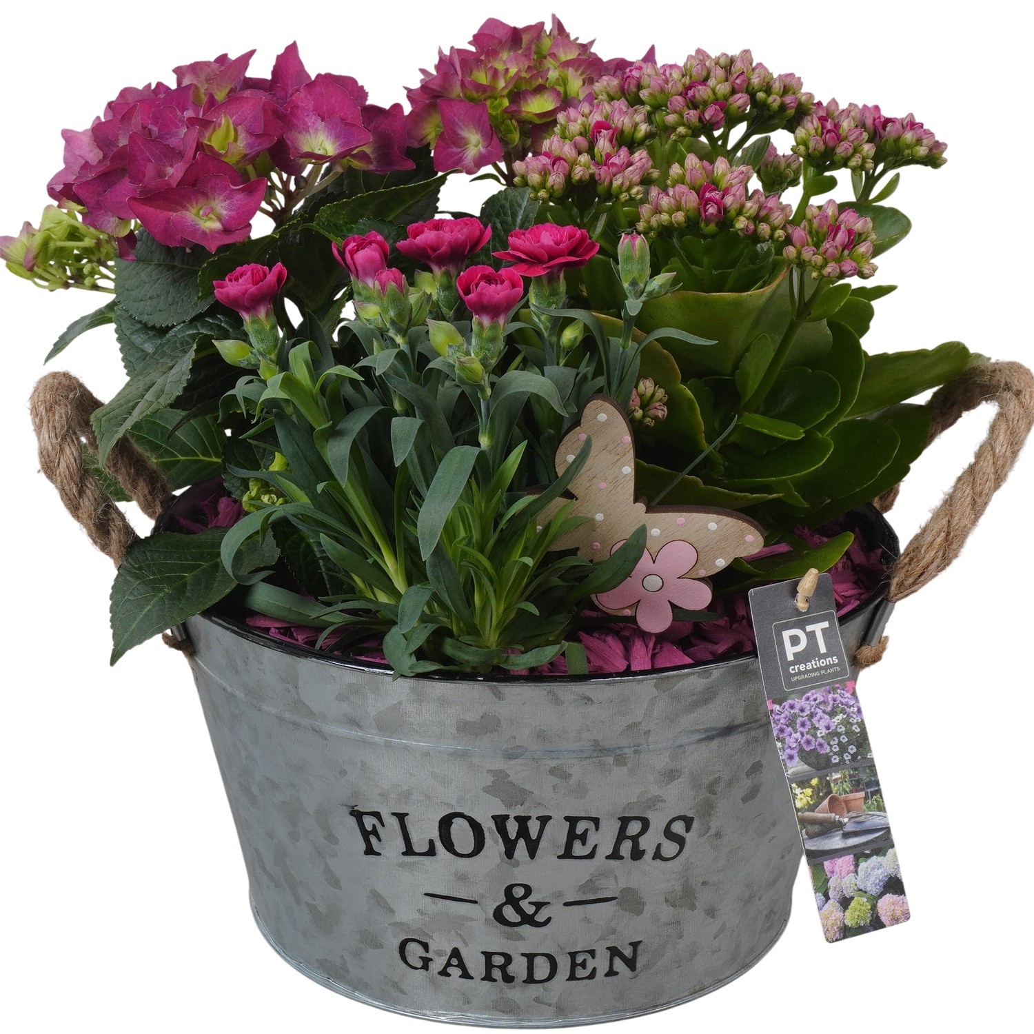 PTPP6909 Arrangement Patio in metalen schaal, D 25