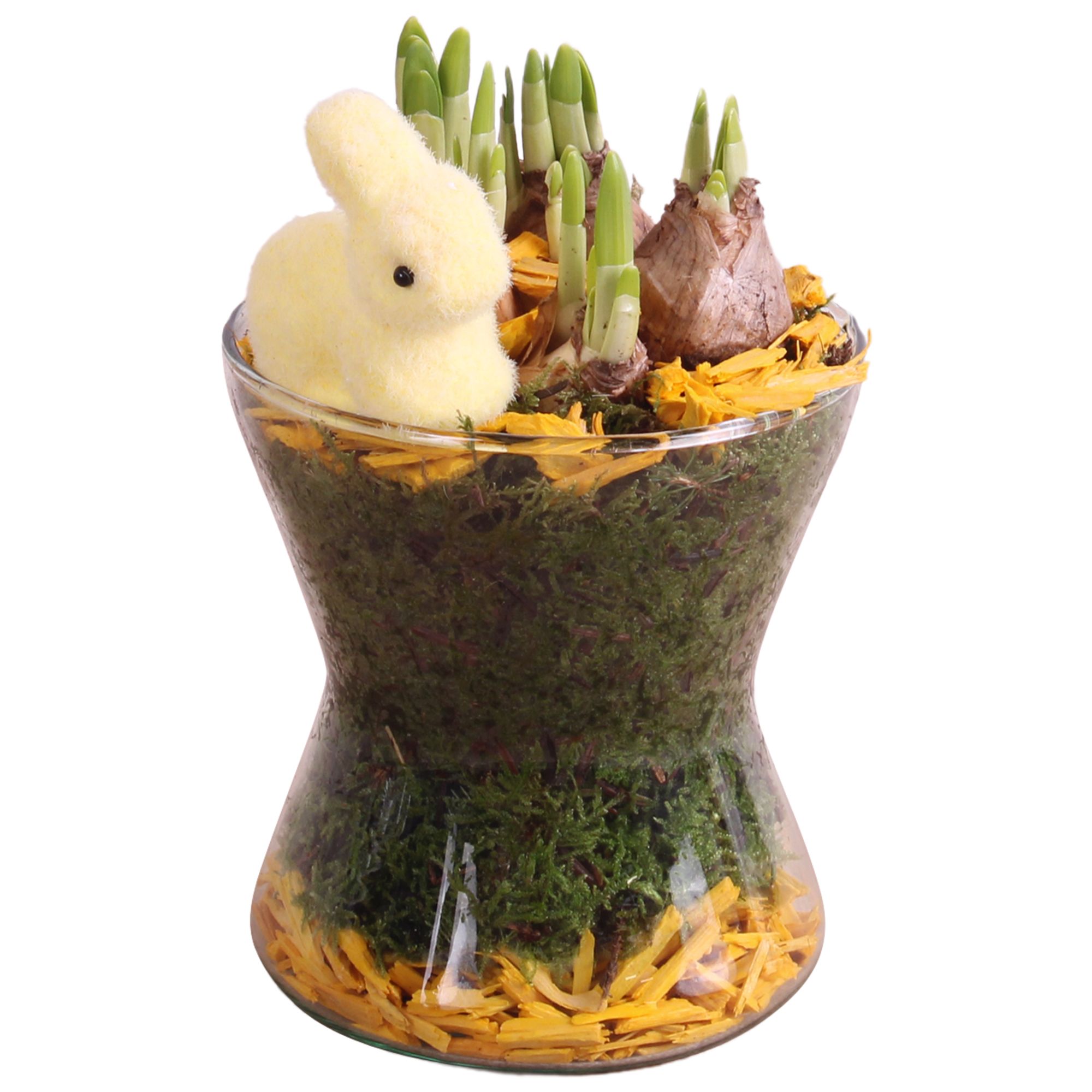 Easter Arr. Narcis Glass Hourglass Ø13cm, D 13