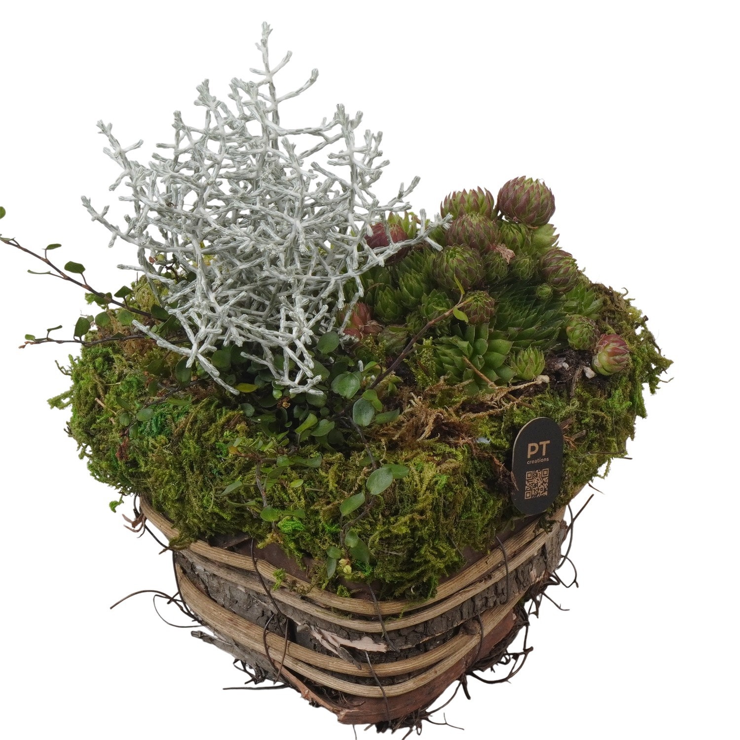 PTAH3041 Arrangement Allerheiligen in rieten hart, D 16