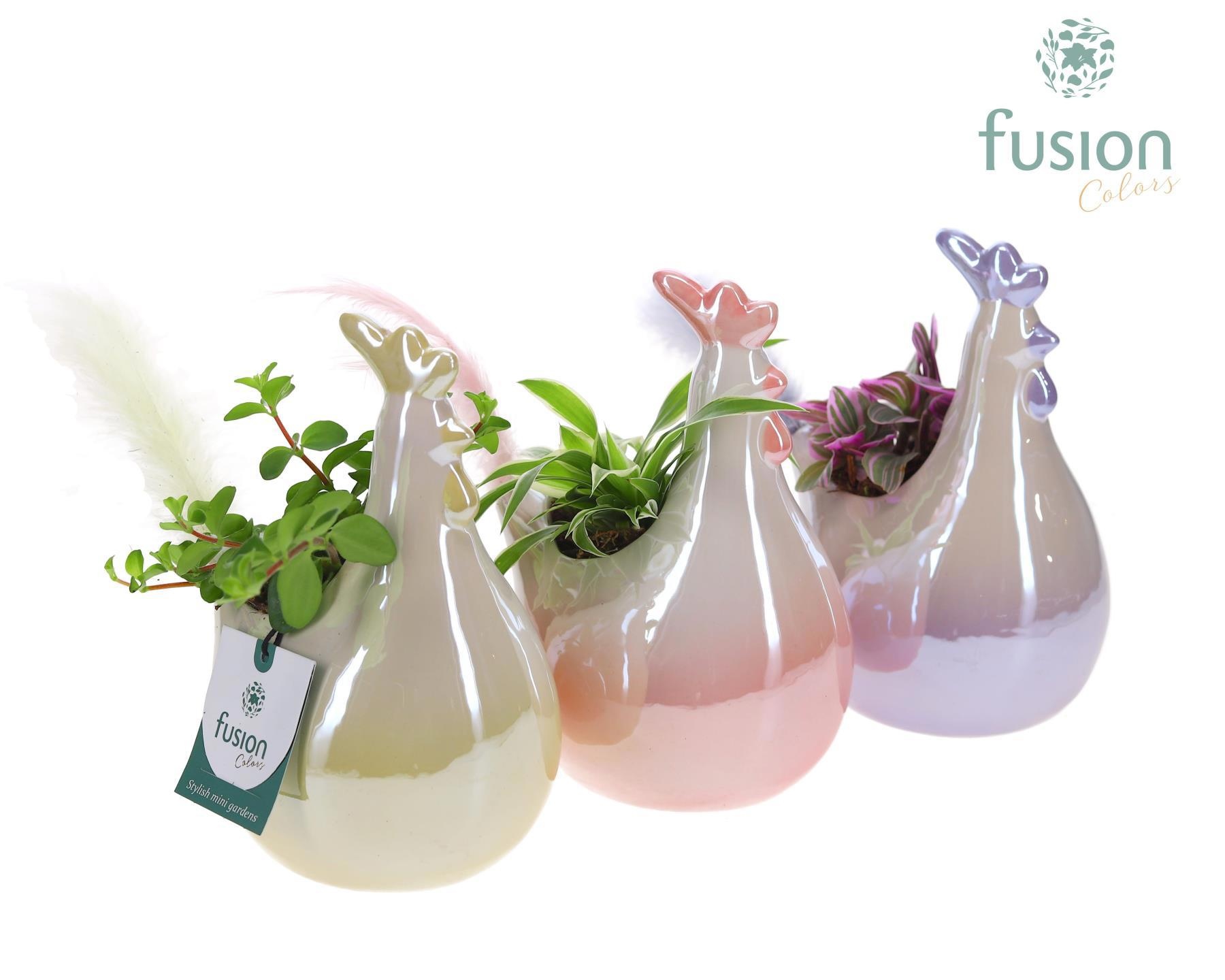 Pot keramiek Kip Pasen 3 kleuren Small met groene planten, D 16