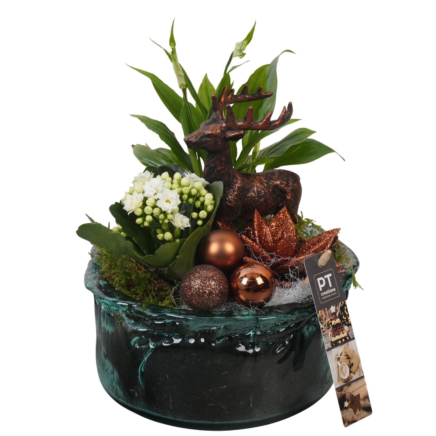 PTCHB9847 Arrangement Christmas Bronze in glas schaal, D 18 cm