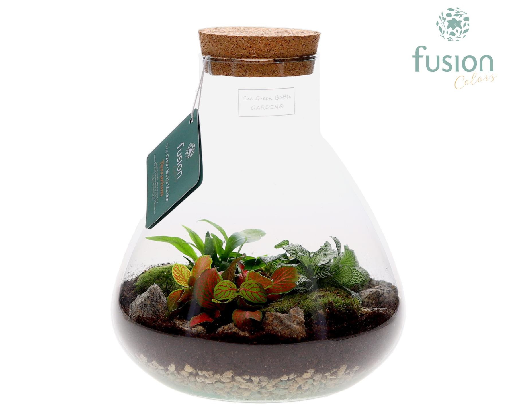 Terrarium Pyramide Medium met arrangement, D 22