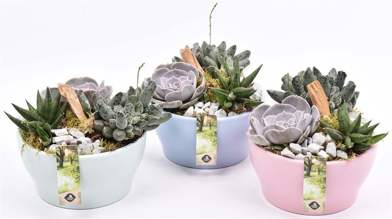 Keramiek schaal kl.mix 18.5cm, D 18