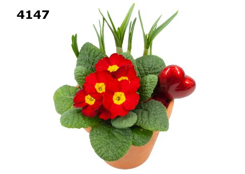 Valentijn roodsteen bloempot S, D 12